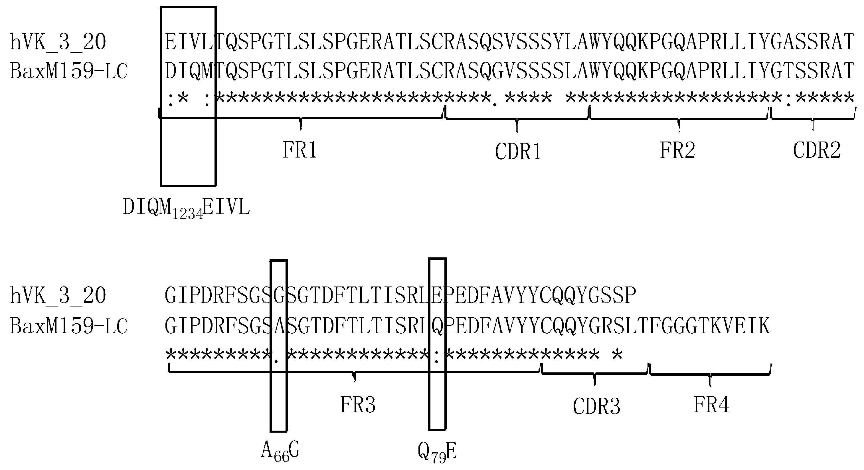 Antibodies 08 00046 g001