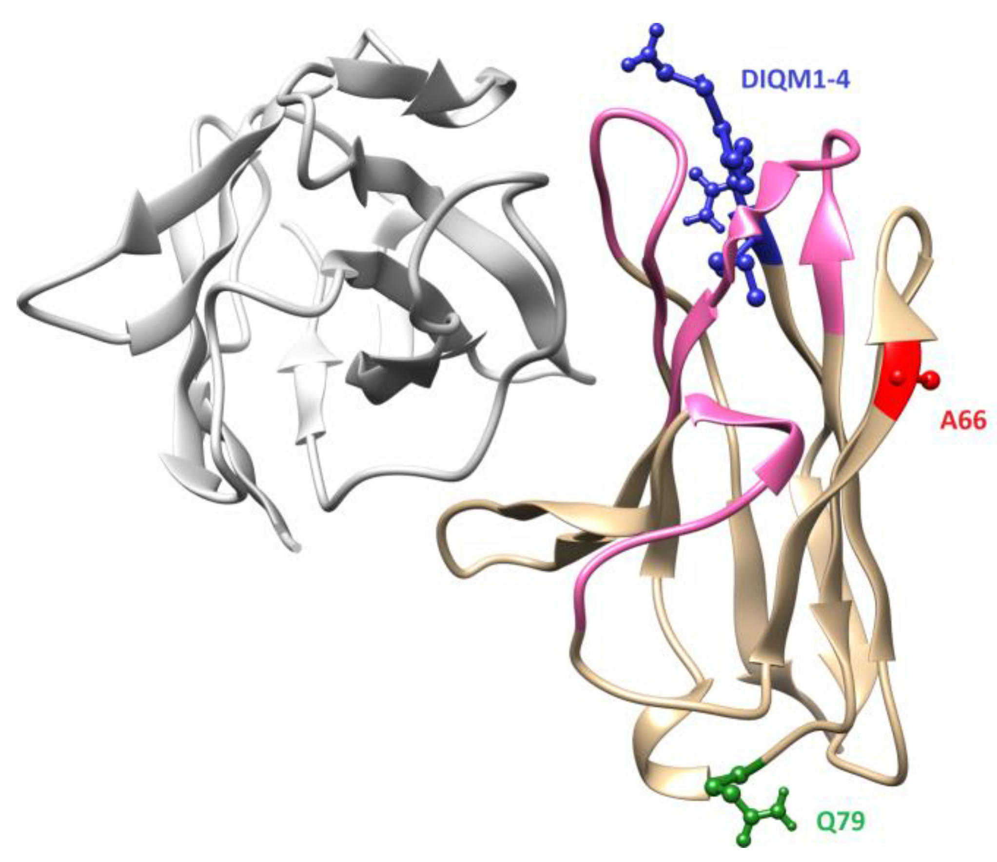 Antibodies 08 00046 g002