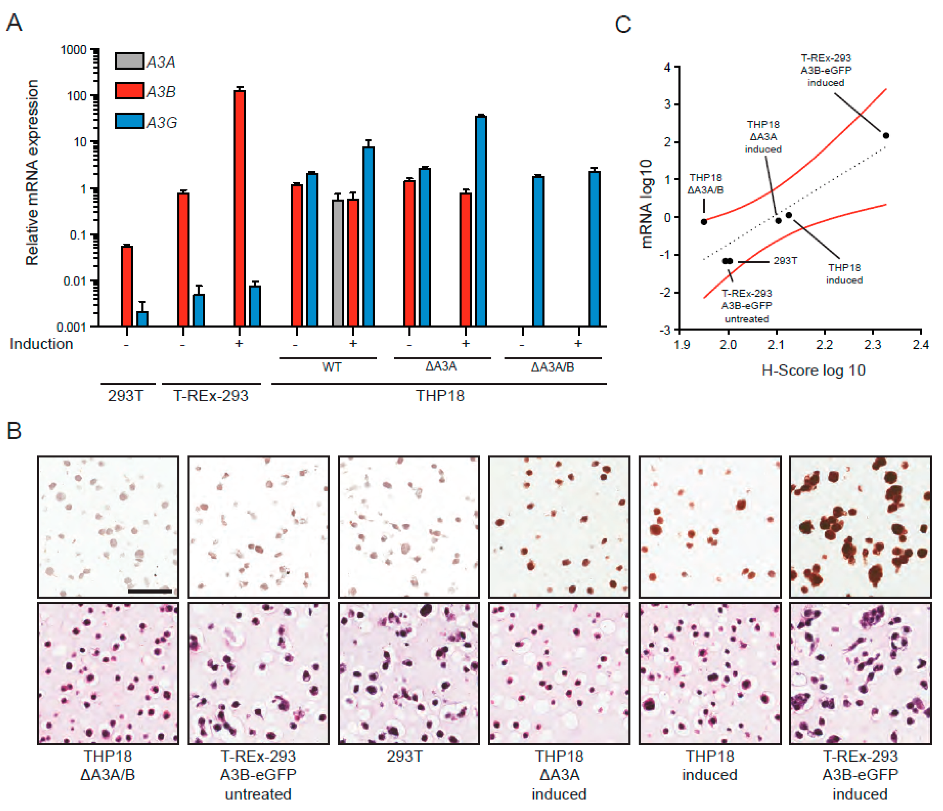 Antibodies 08 00047 g004 Antibodies 08 00047 g004