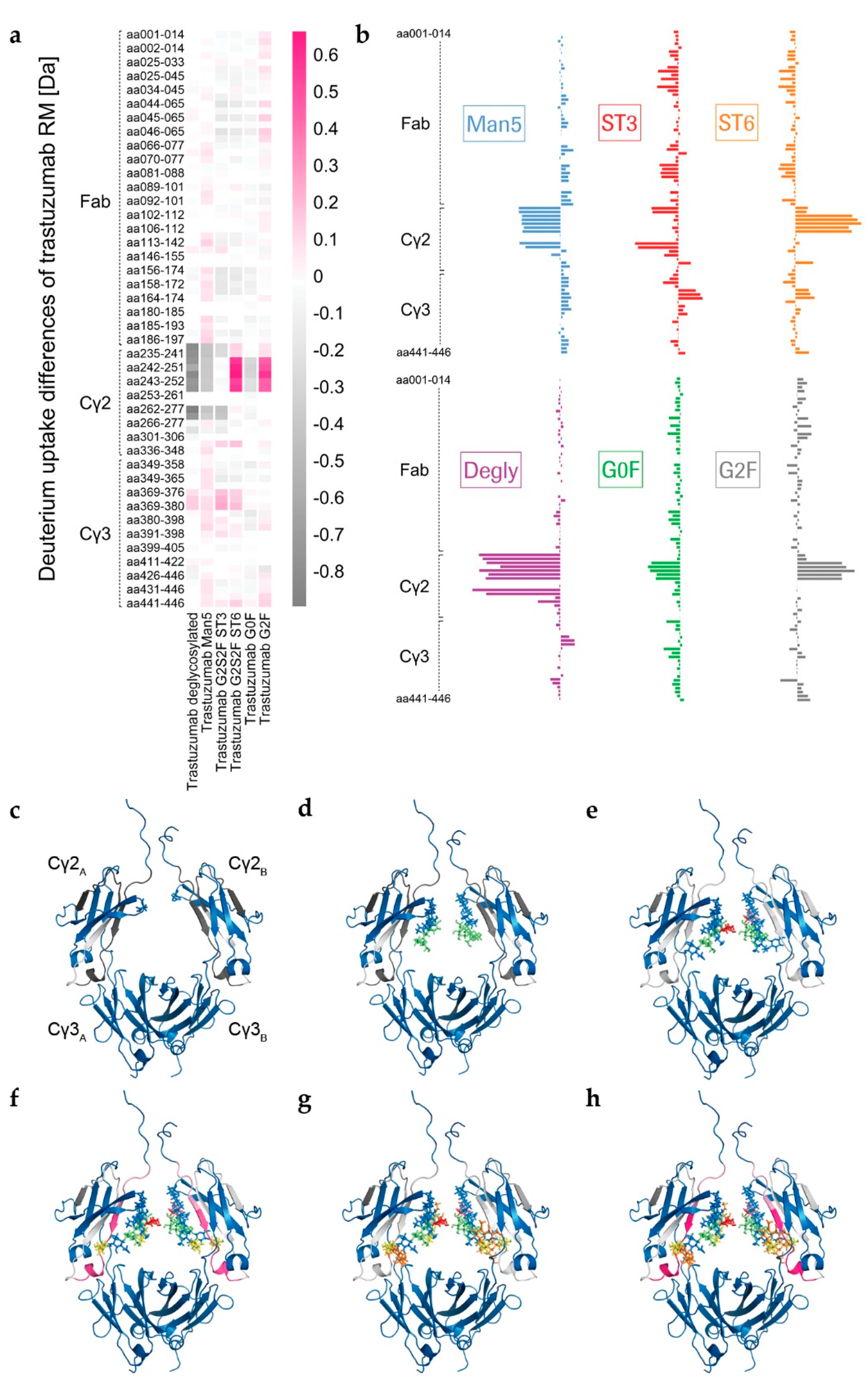 Antibodies 08 00049 g002