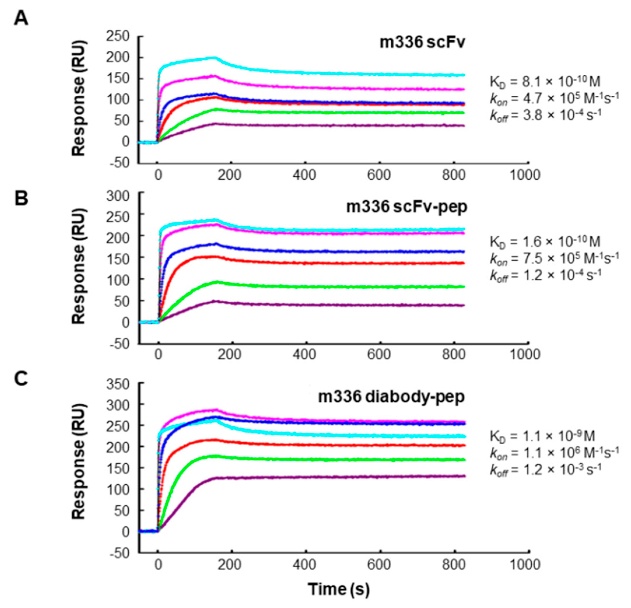 Antibodies 08 00053 g002 Antibodies 08 00053 g002