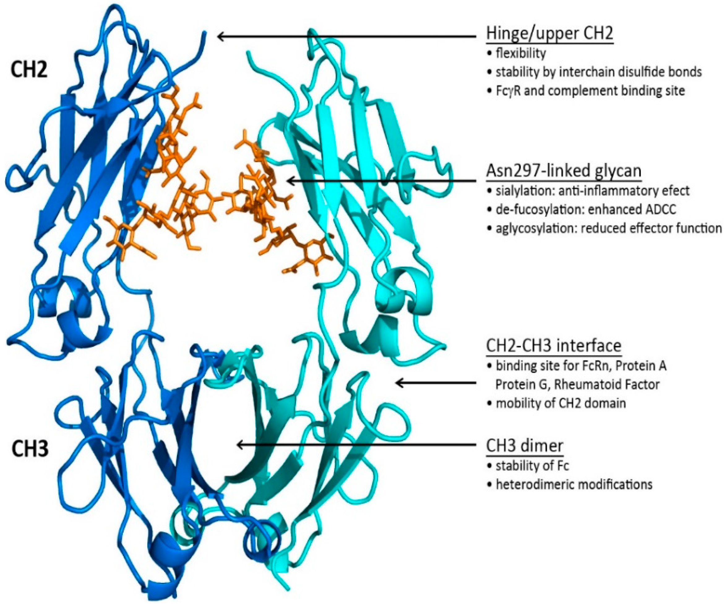 Antibodies 08 00055 g004
