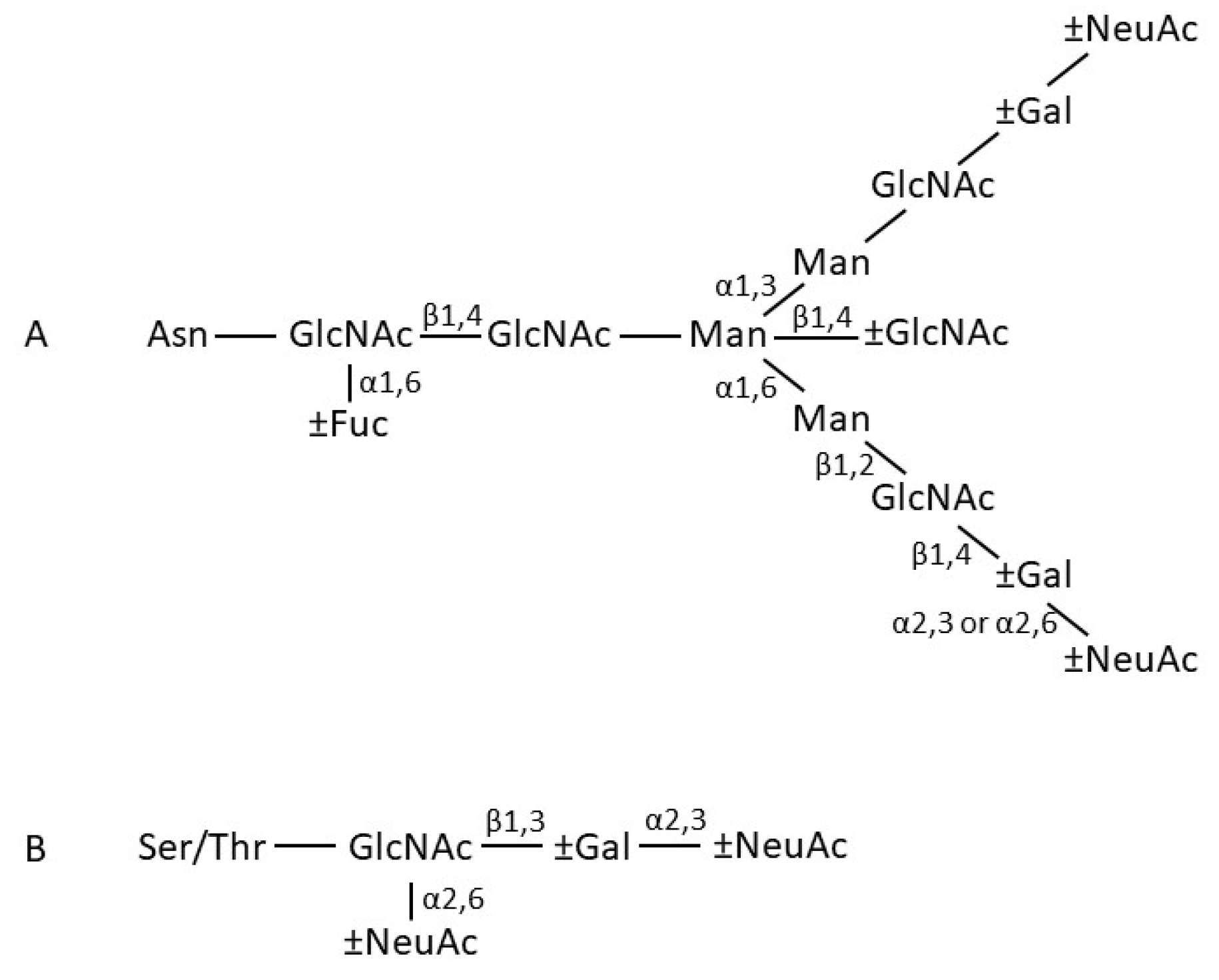Antibodies 08 00057 g003