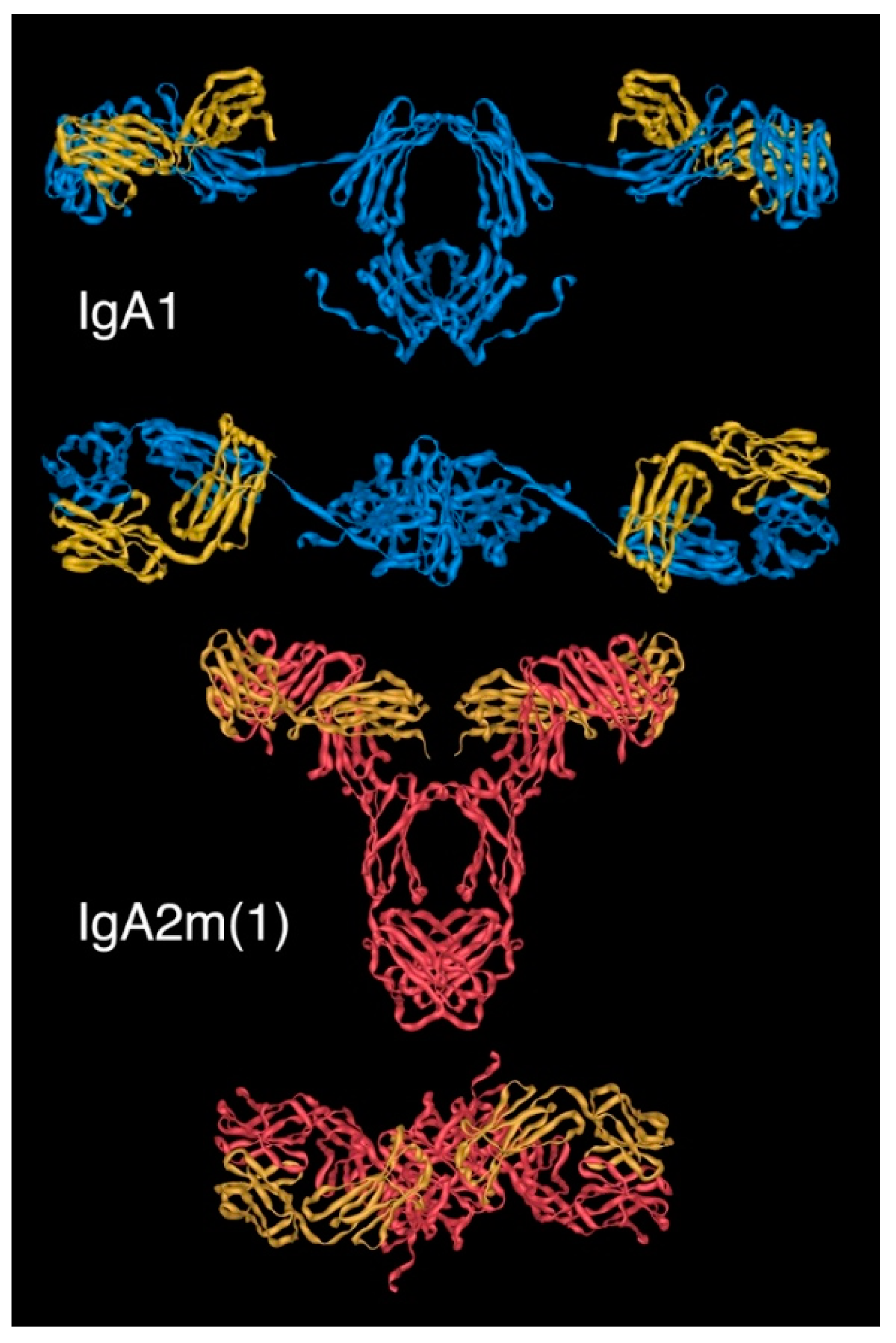 Antibodies 08 00057 g005