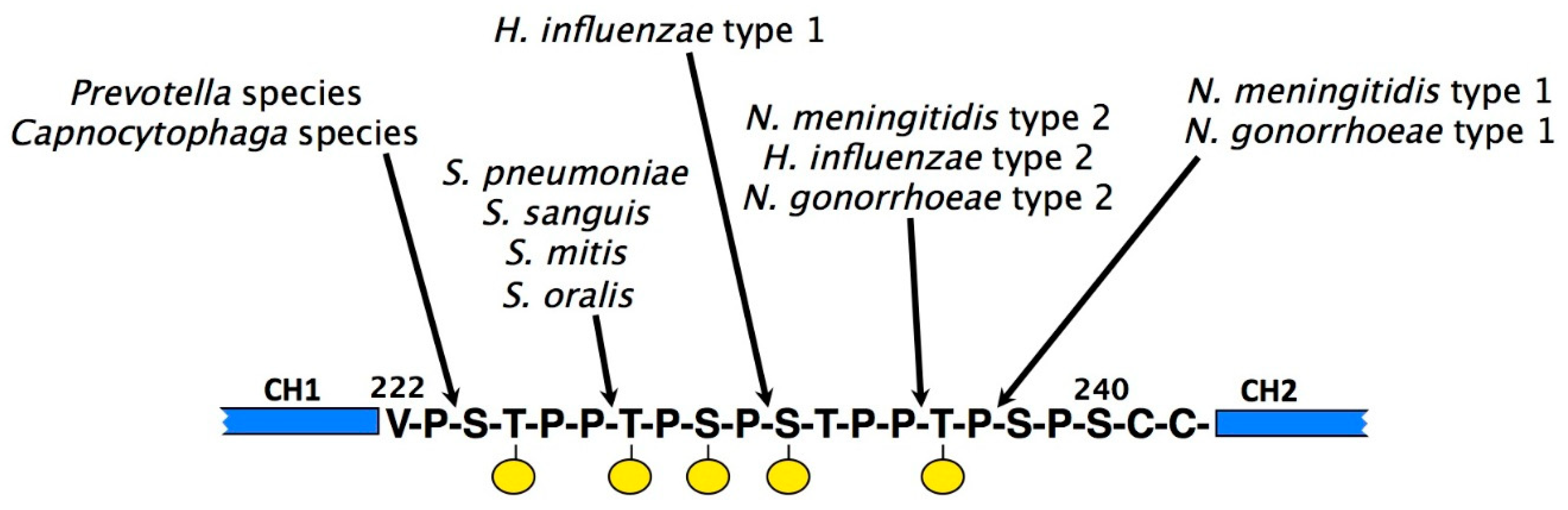 Antibodies 08 00057 g008