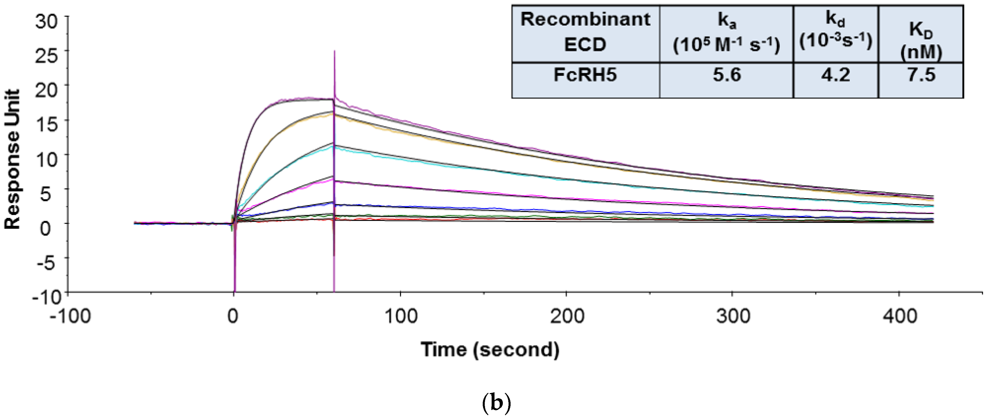 Antibodies 09 00007 g001b Antibodies 09 00007 g001b