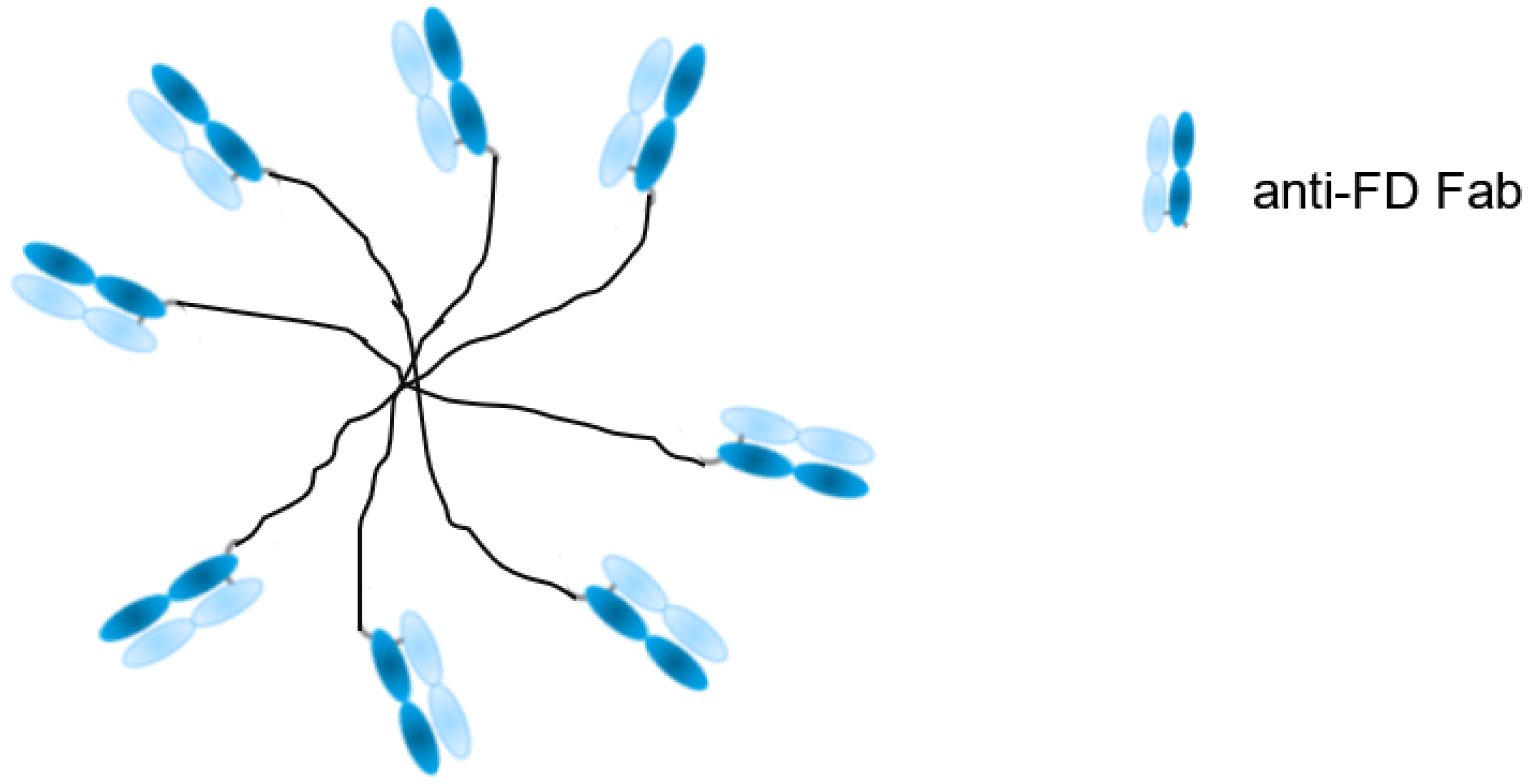 Antibodies 09 00007 g002 Antibodies 09 00007 g002