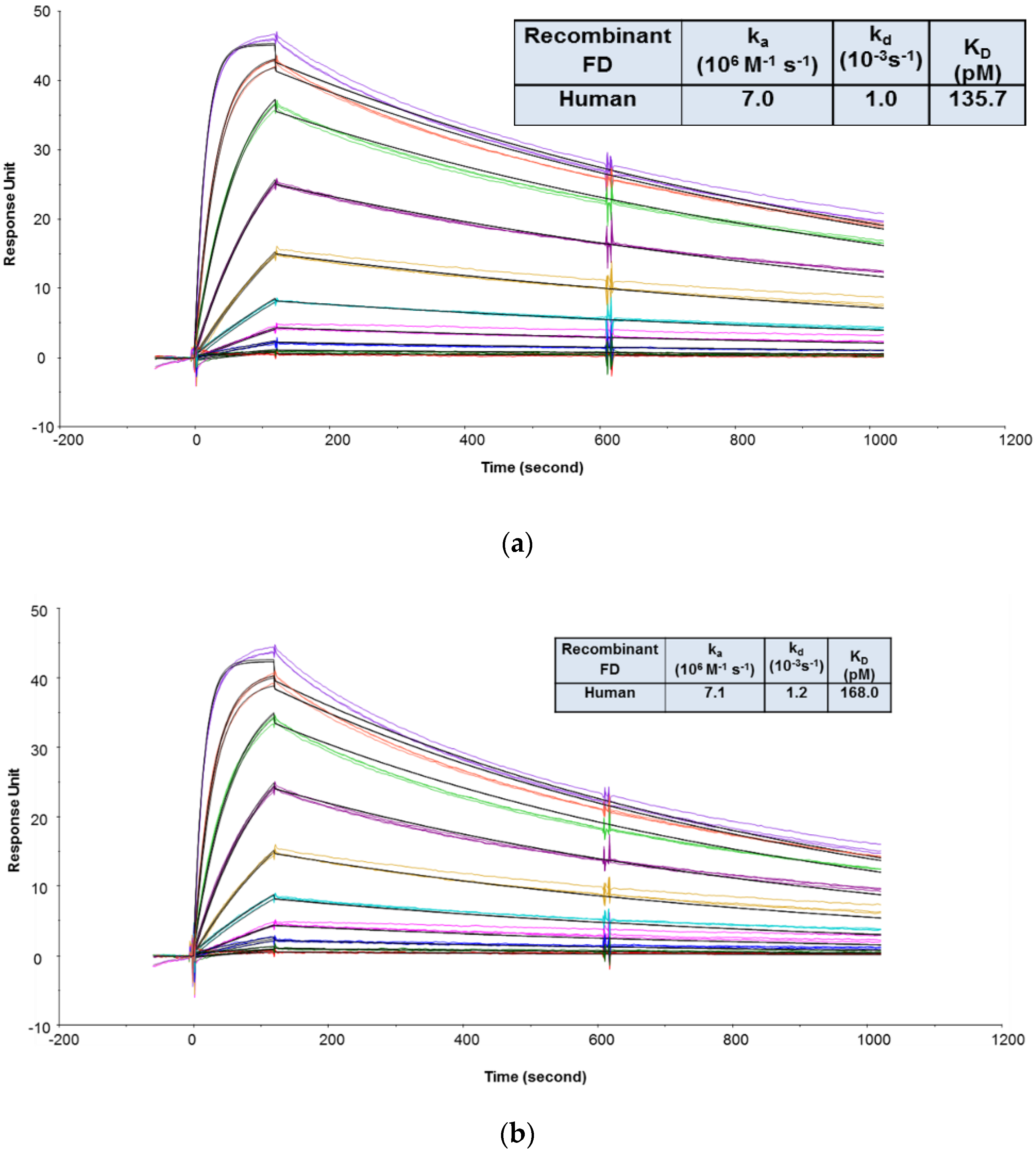 Antibodies 09 00007 g003a Antibodies 09 00007 g003a