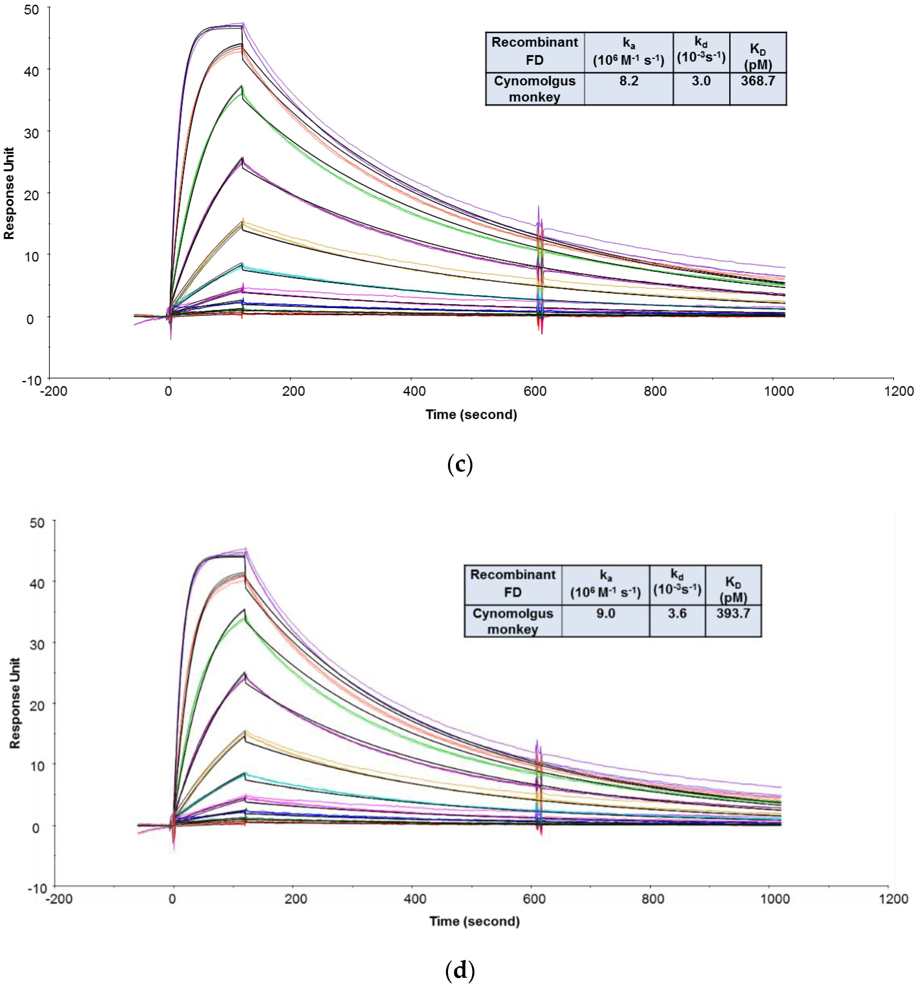 Antibodies 09 00007 g003b Antibodies 09 00007 g003b