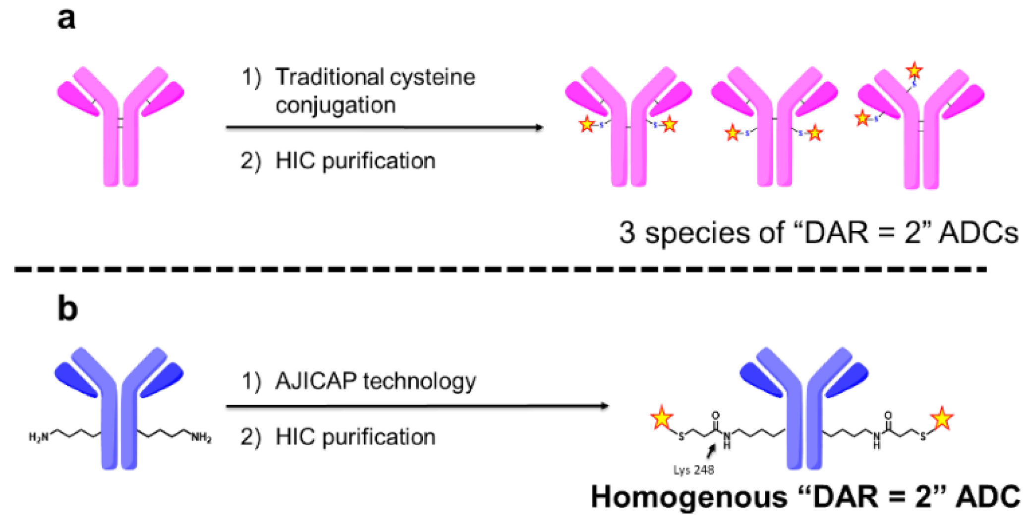 Antibodies 09 00016 g001
