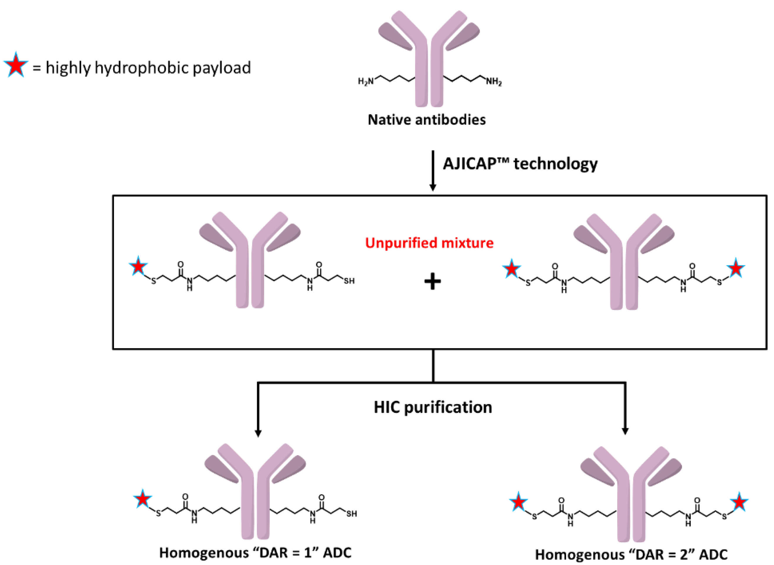 Antibodies 09 00016 g002