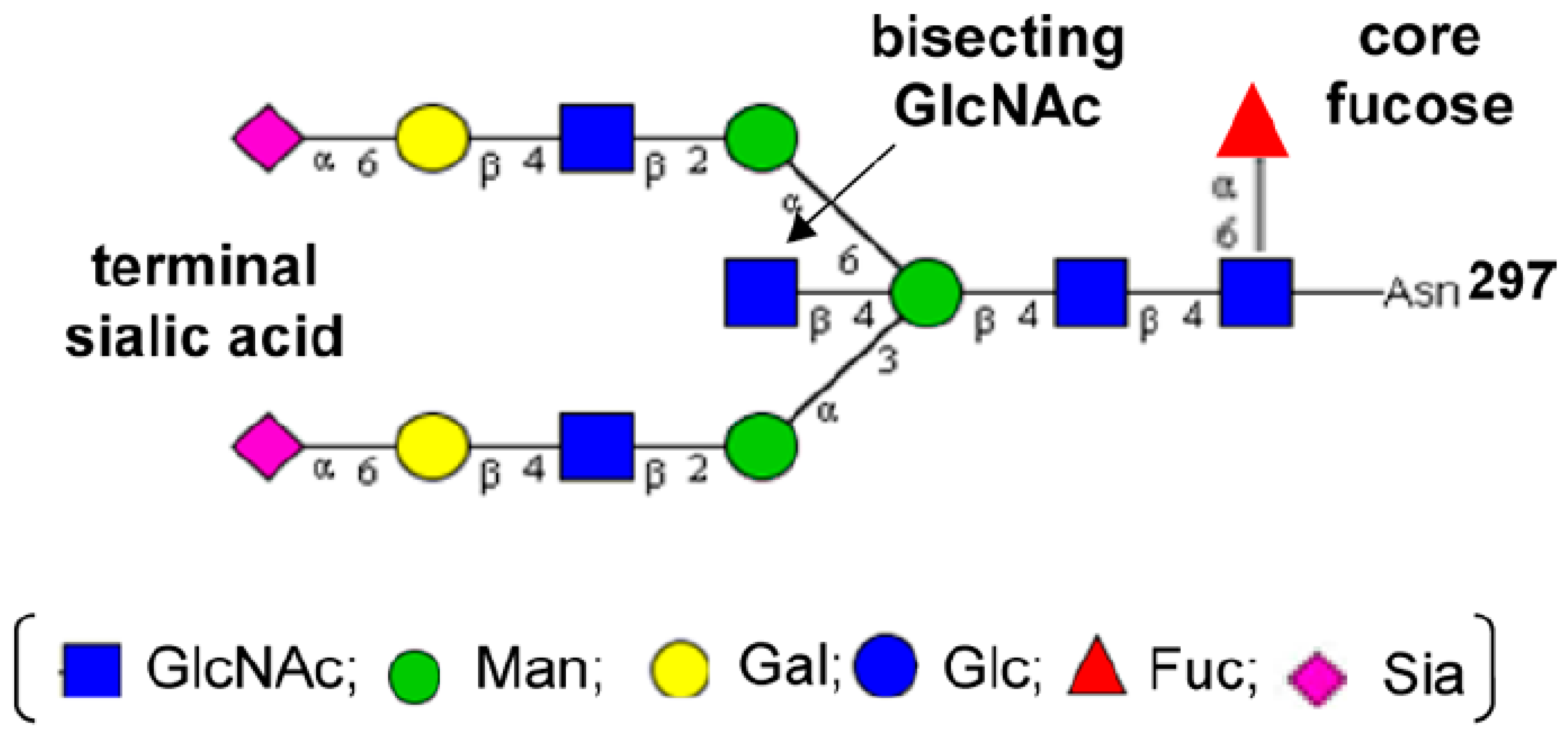 Antibodies 09 00022 g007