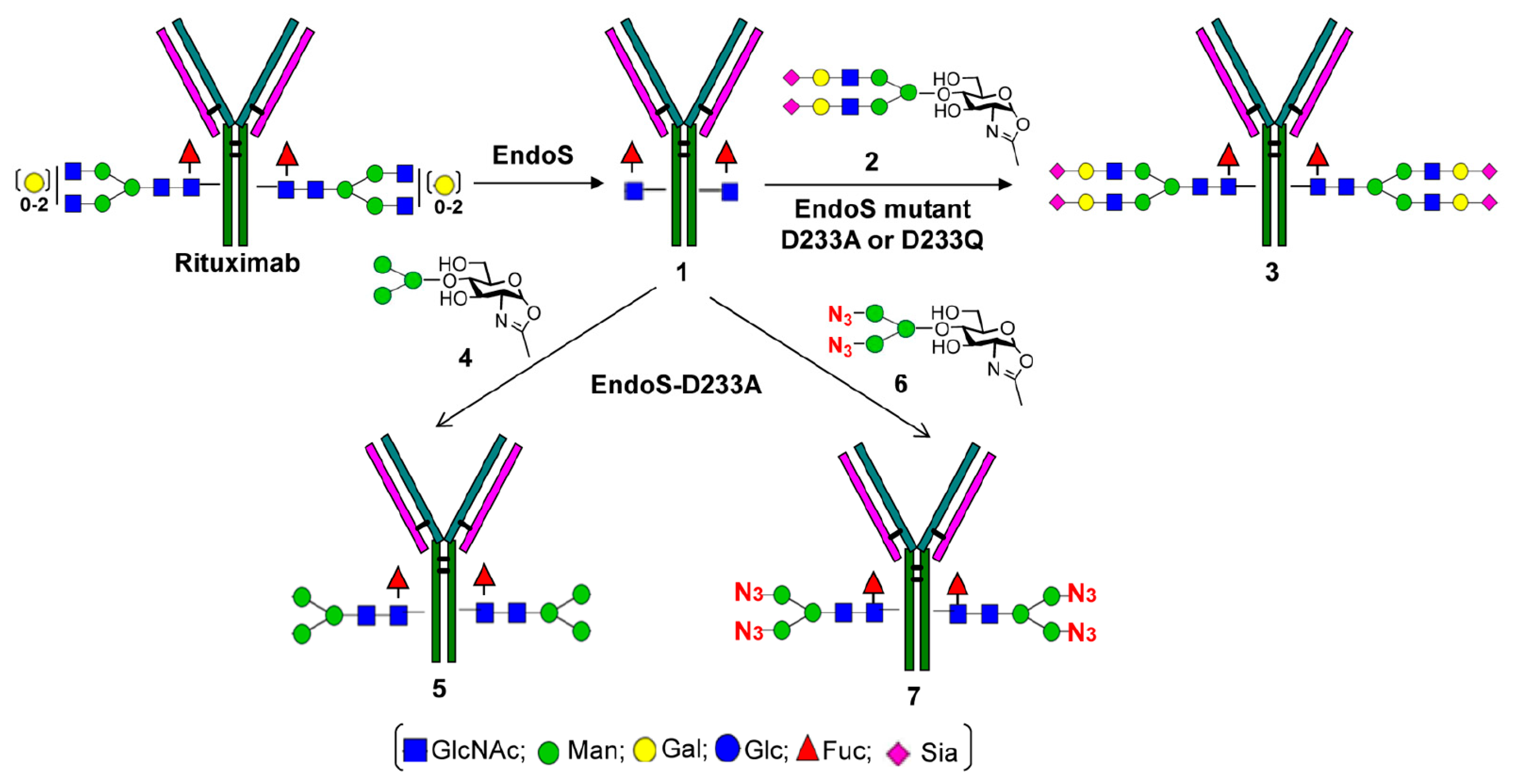 Antibodies 09 00022 g009