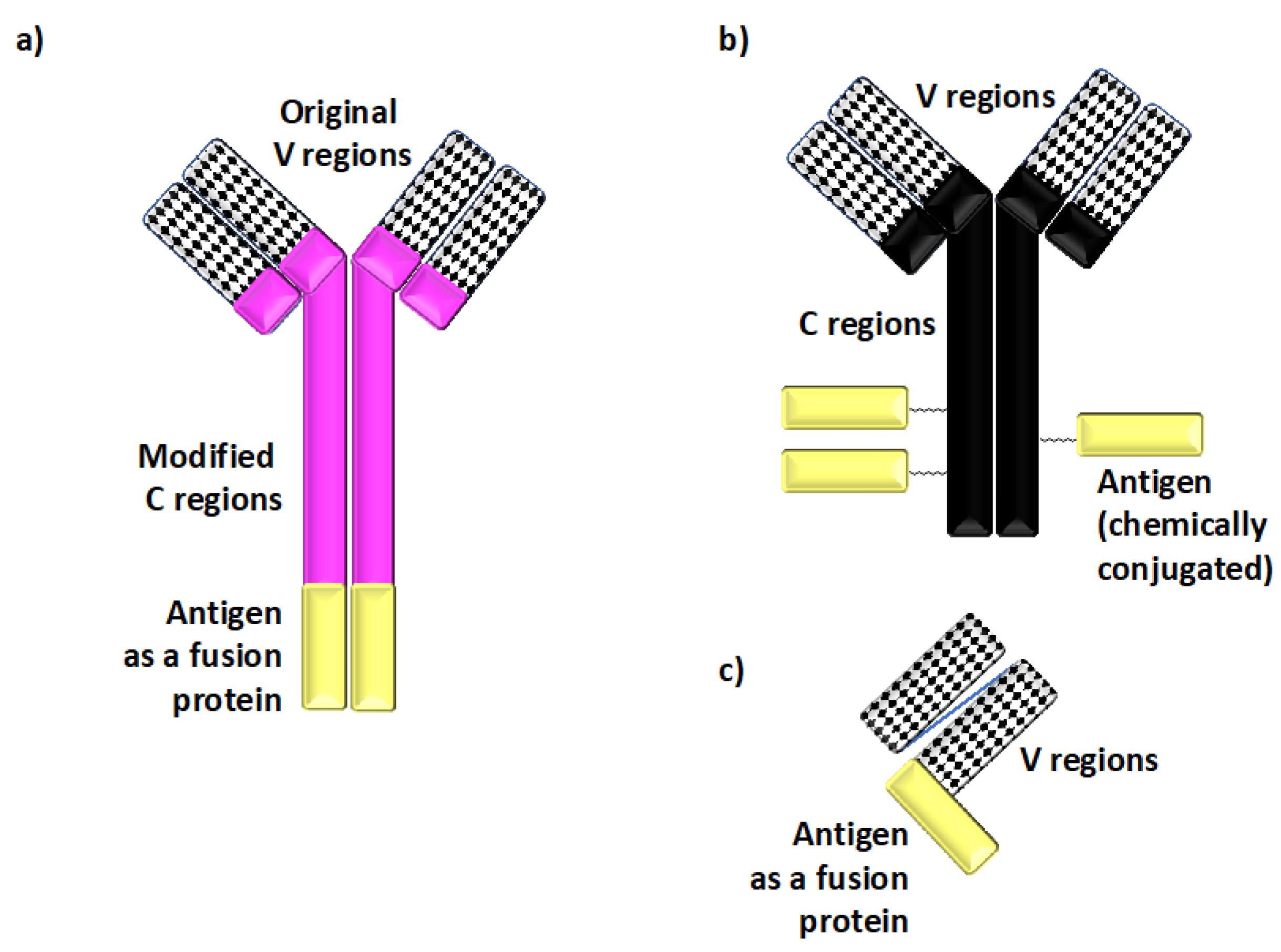 Antibodies 09 00023 g002