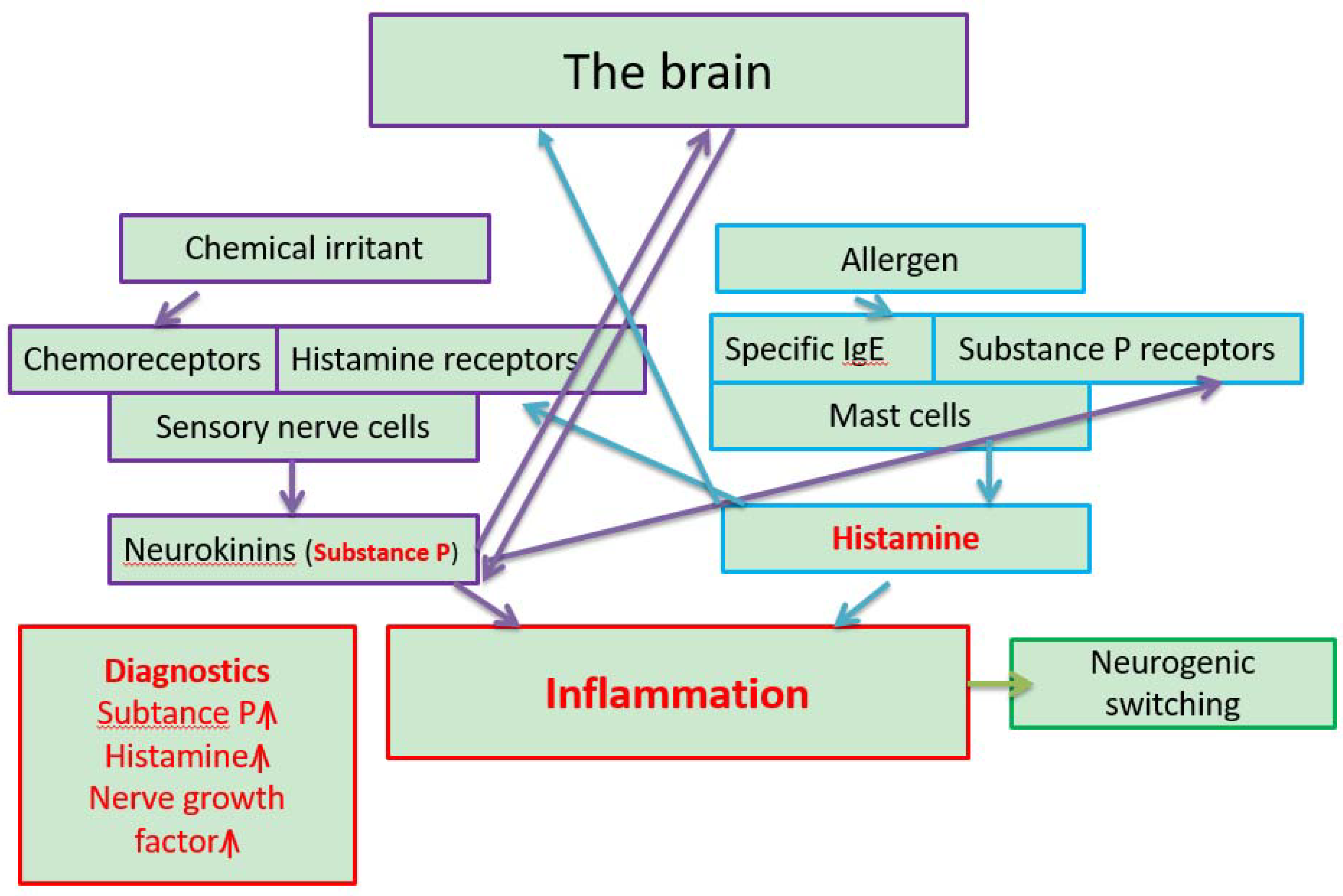 Antibodies 09 00026 g002