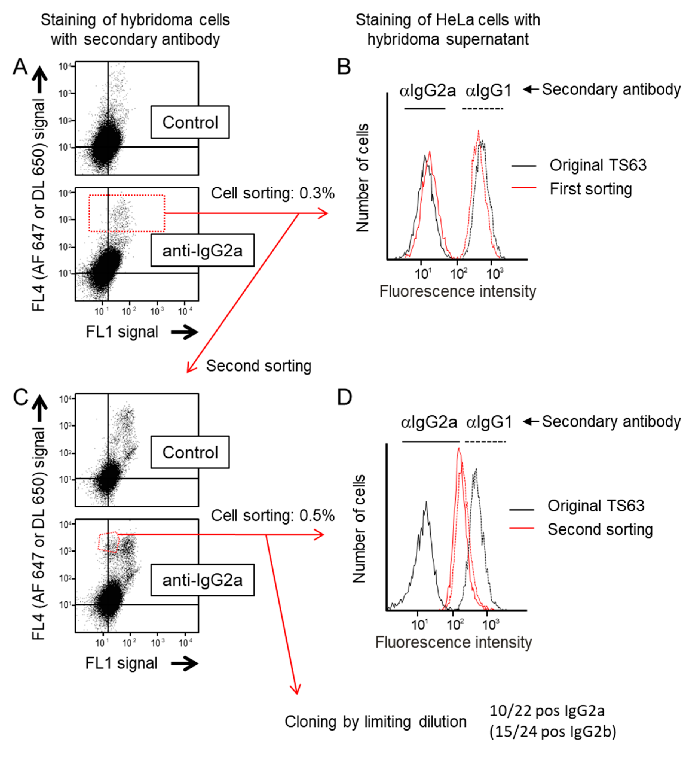 Antibodies 09 00029 g001