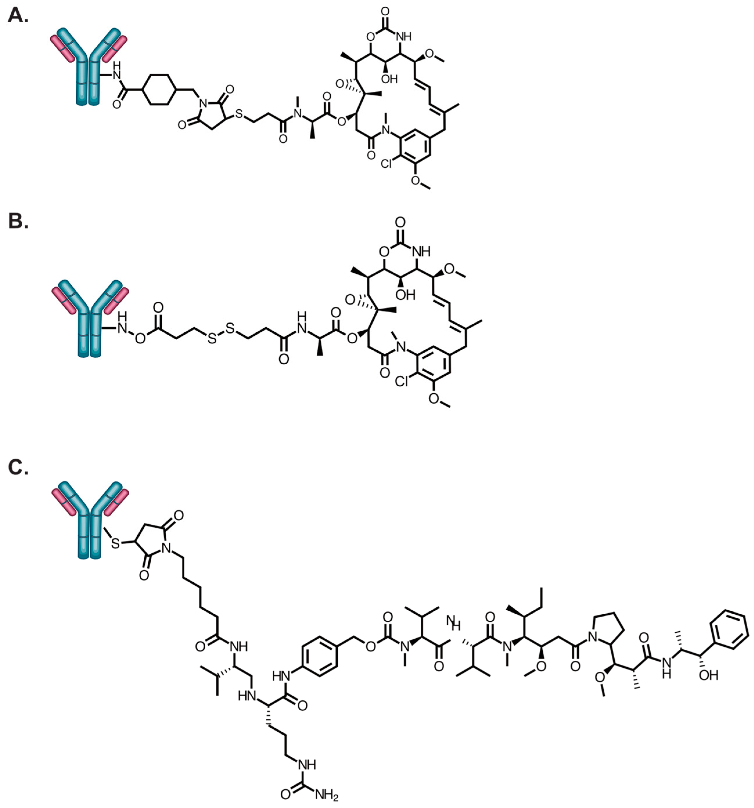 Antibodies 09 00032 g002