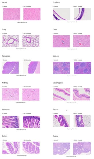Antibodies 09 00051 g0a2b
