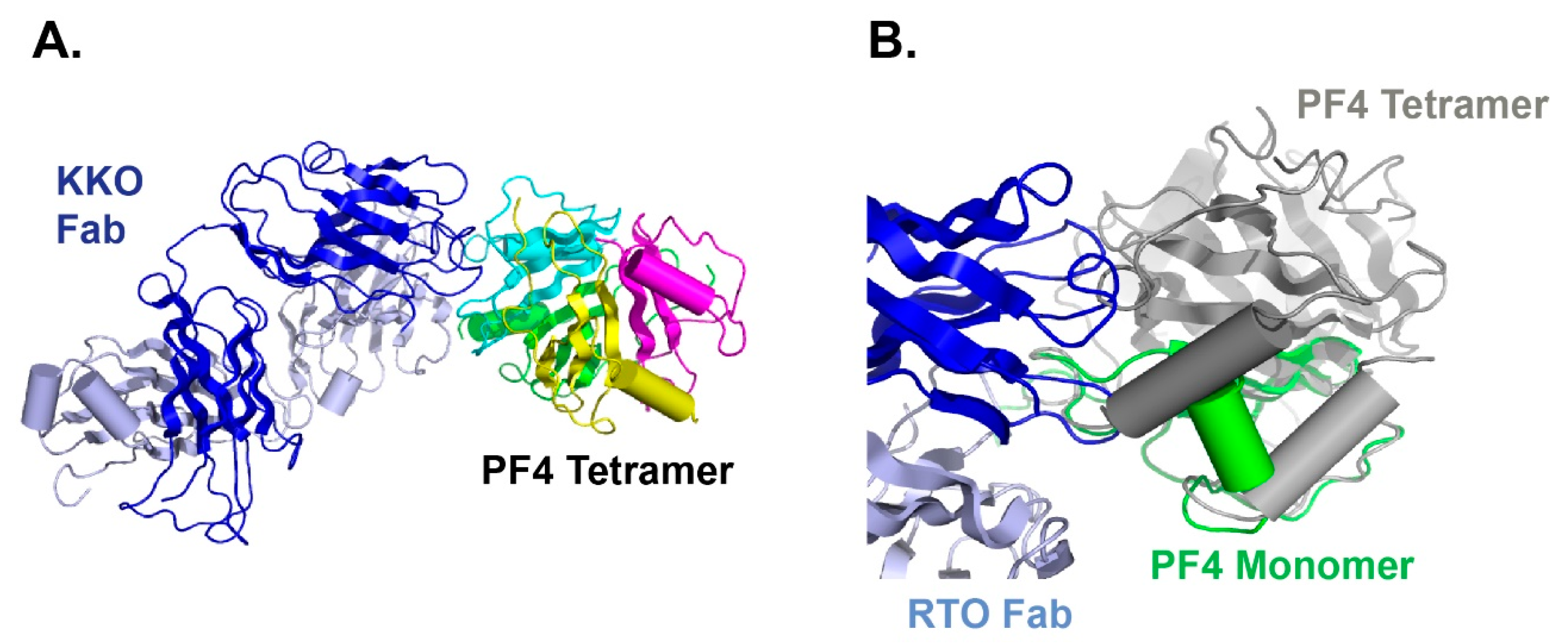 Antibodies 09 00052 g003