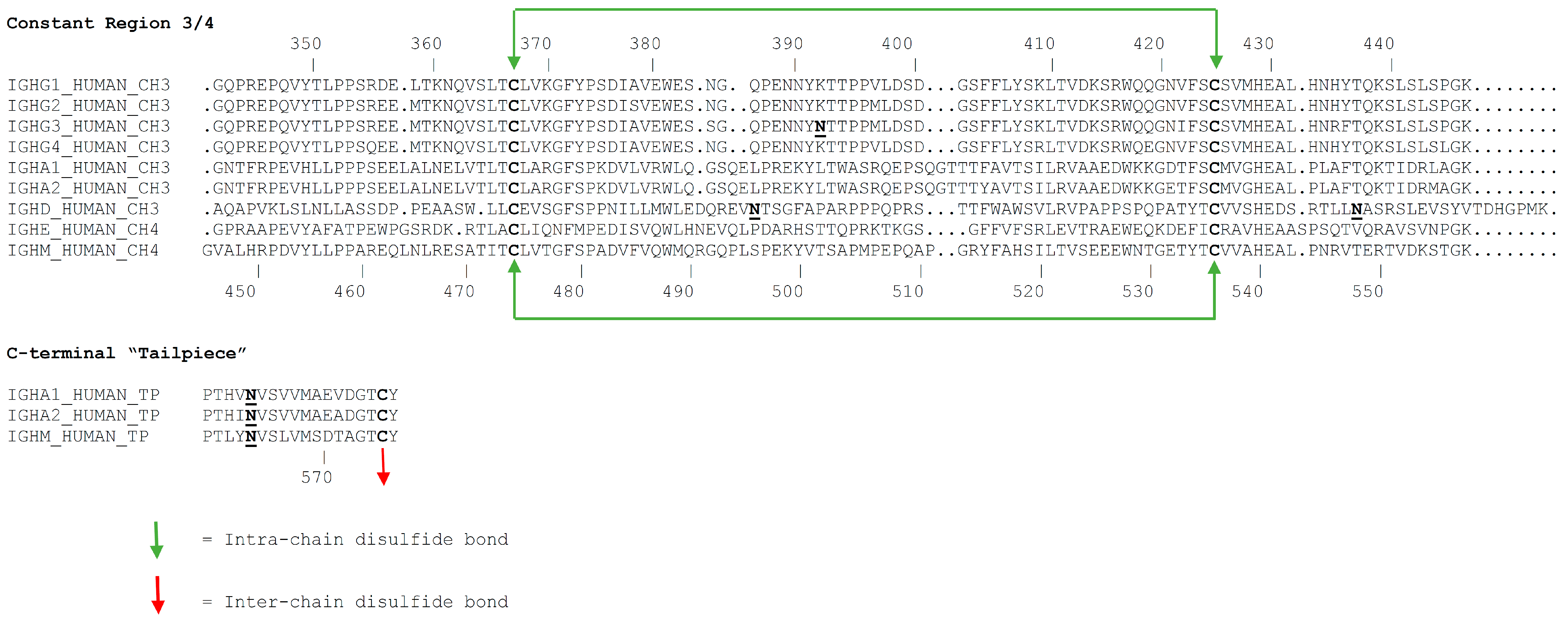Antibodies 09 00053 g003b