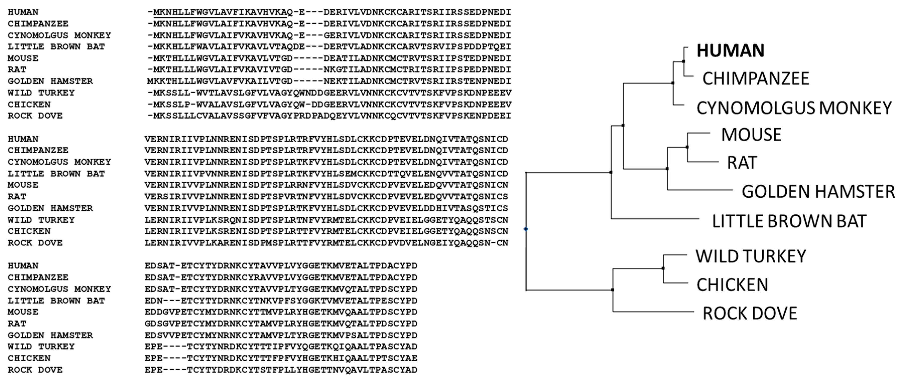 Antibodies 09 00053 g005