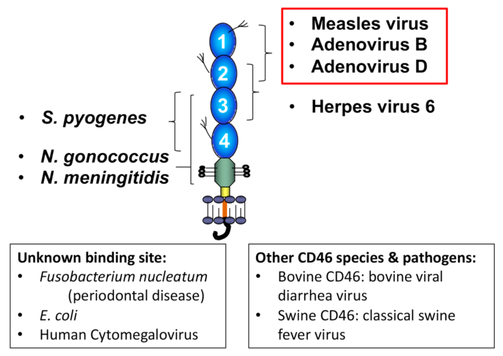 Antibodies 09 00059 g003