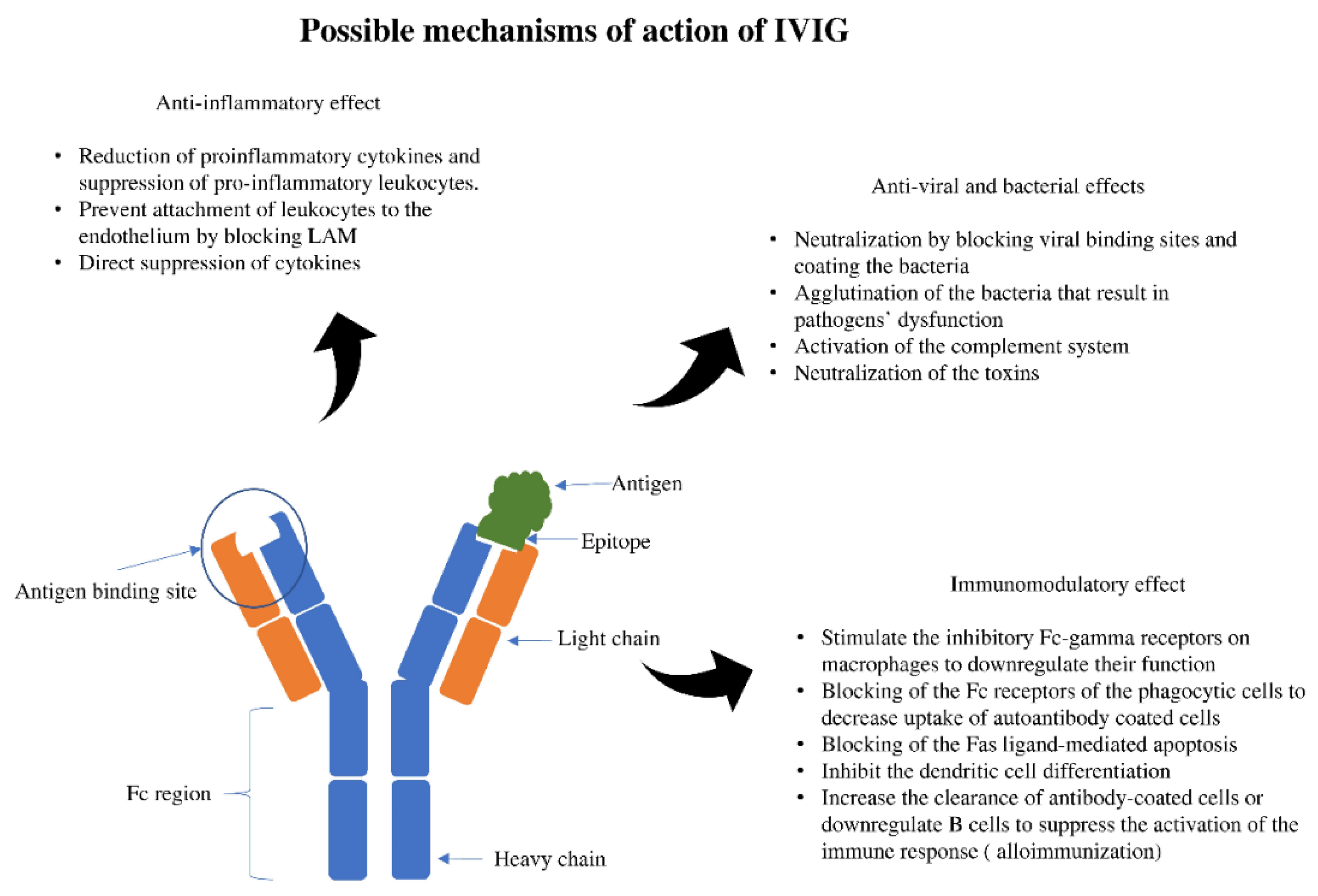 Antibodies 09 00060 g001 Antibodies 09 00060 g001