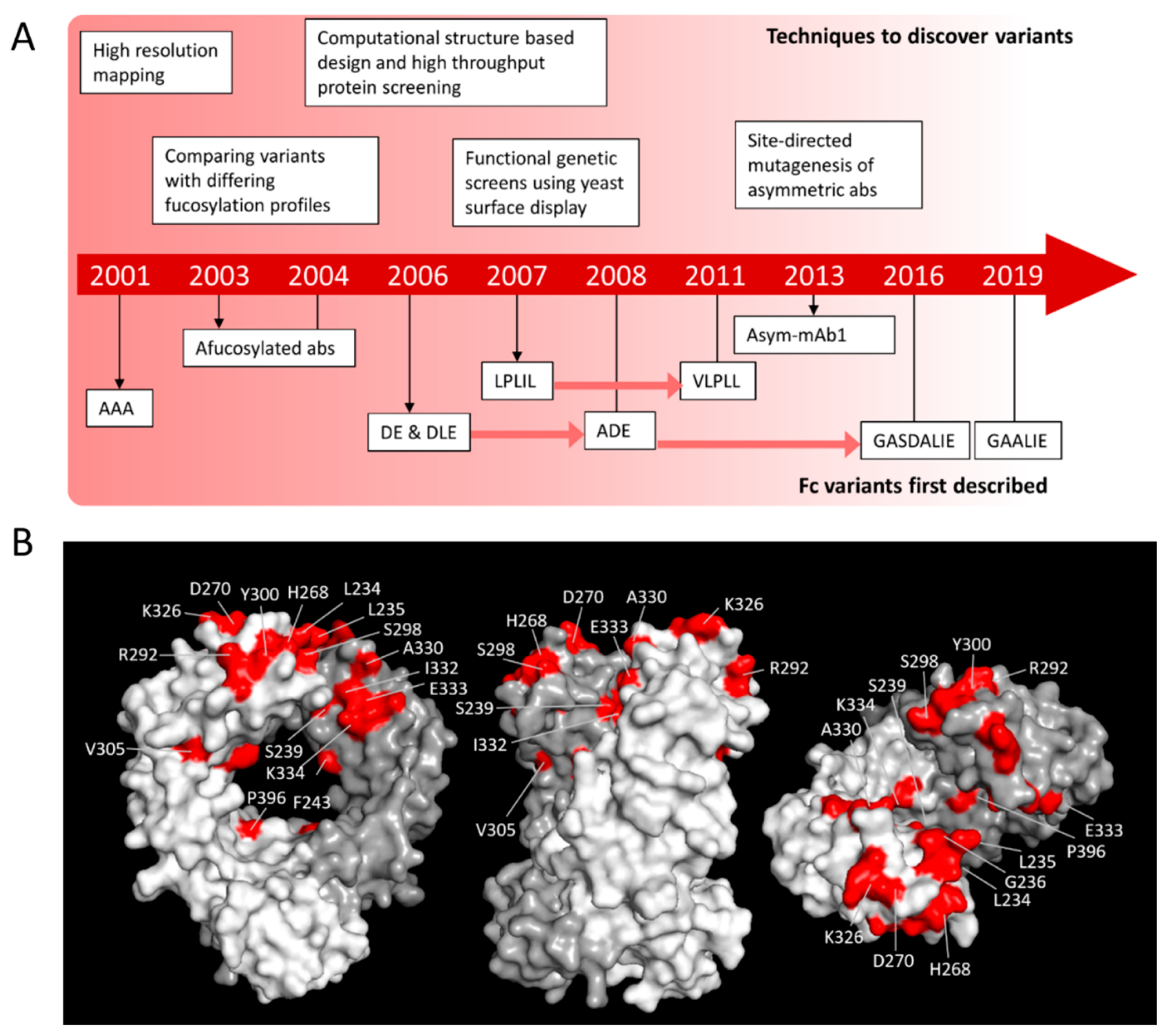 Antibodies 09 00064 g001