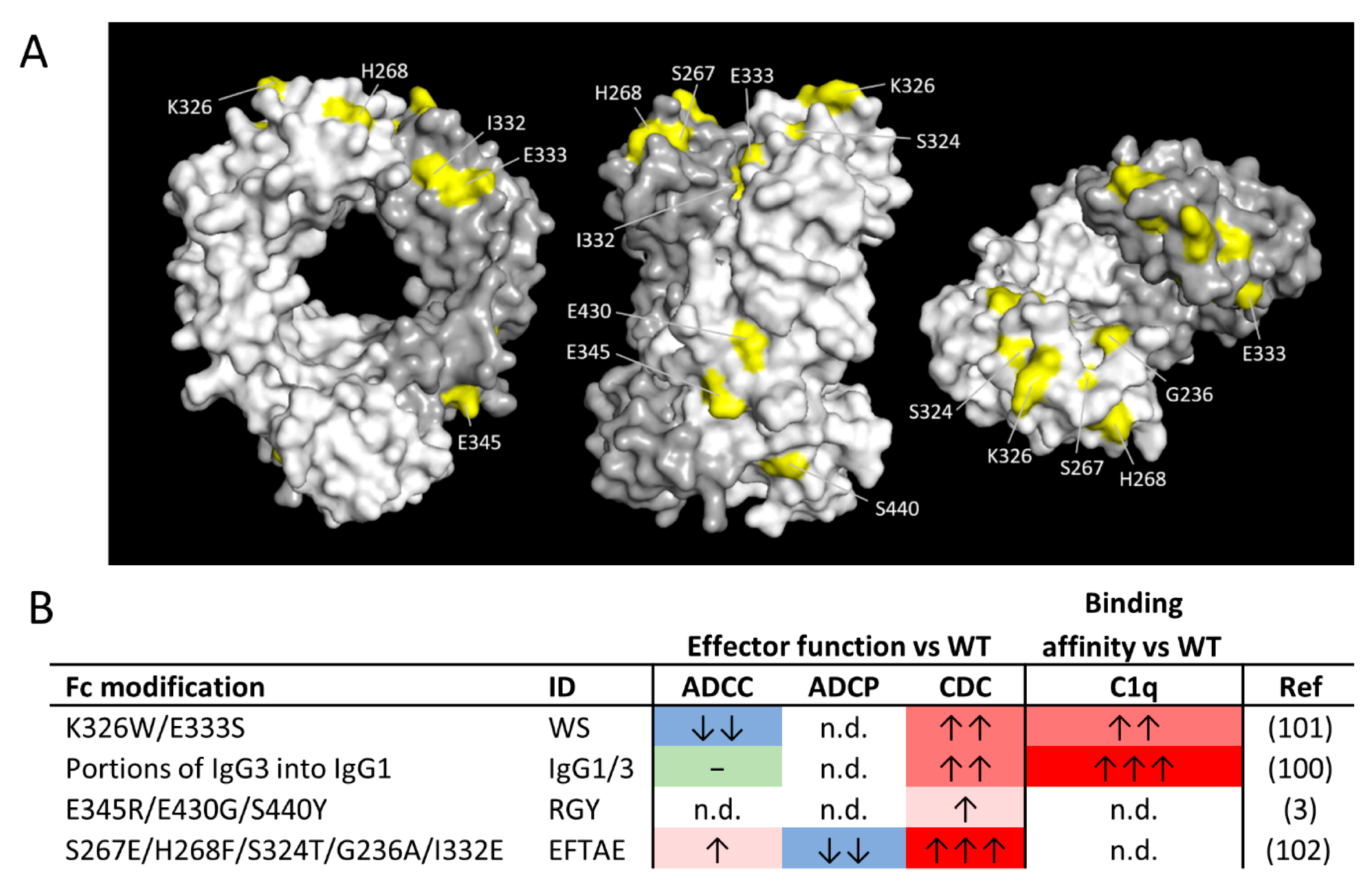 Antibodies 09 00064 g002