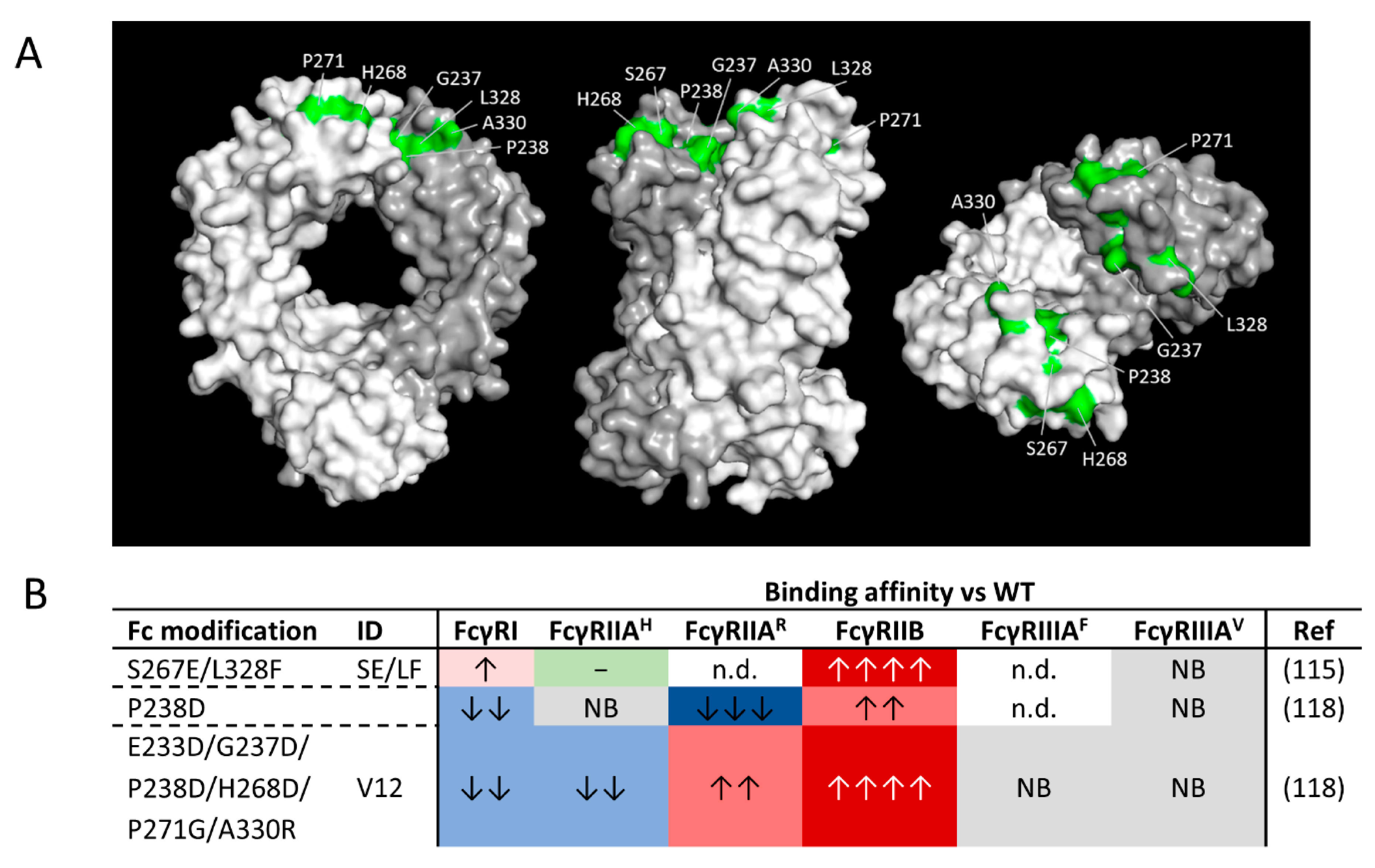 Antibodies 09 00064 g003