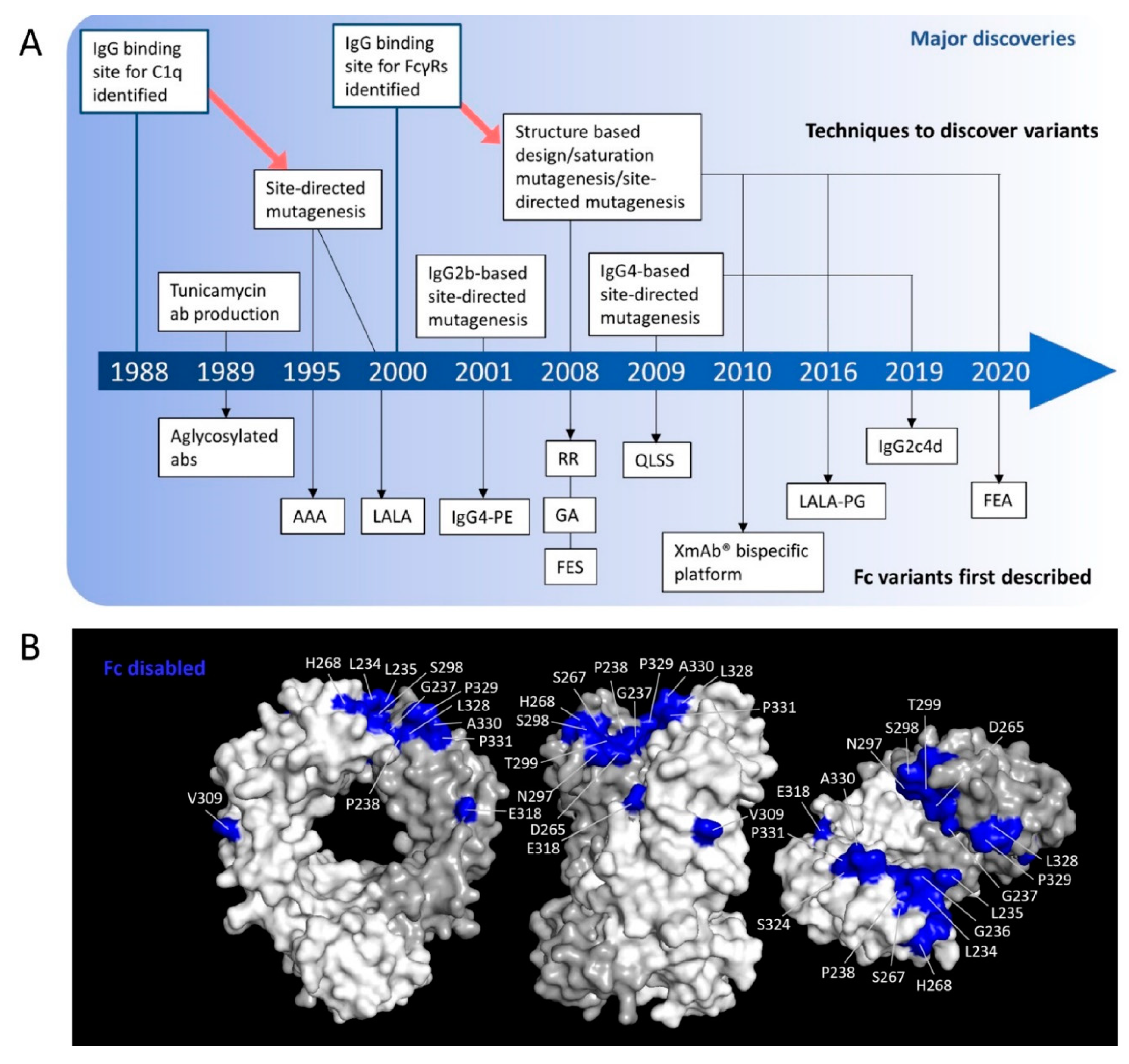 Antibodies 09 00064 g004