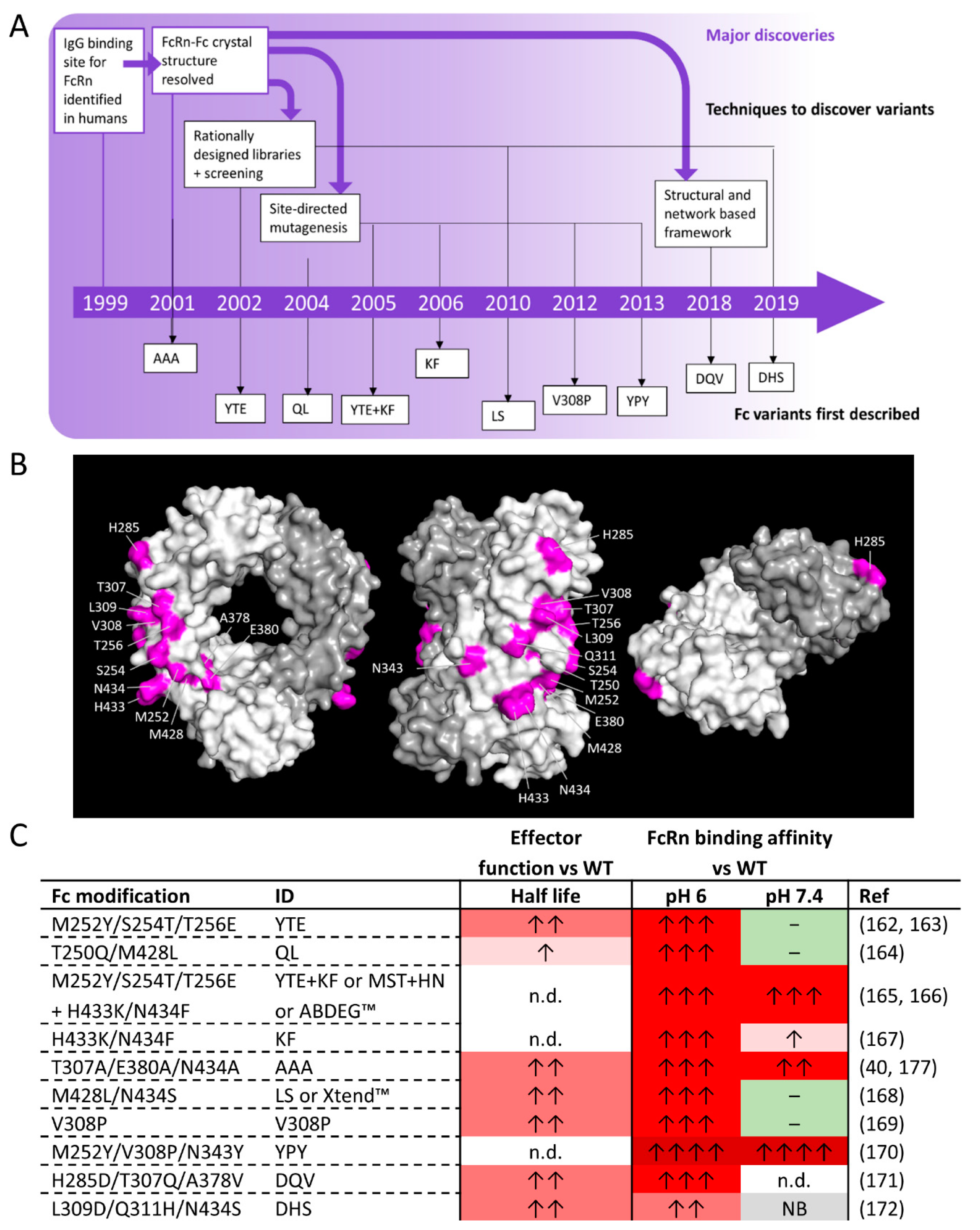 Antibodies 09 00064 g005