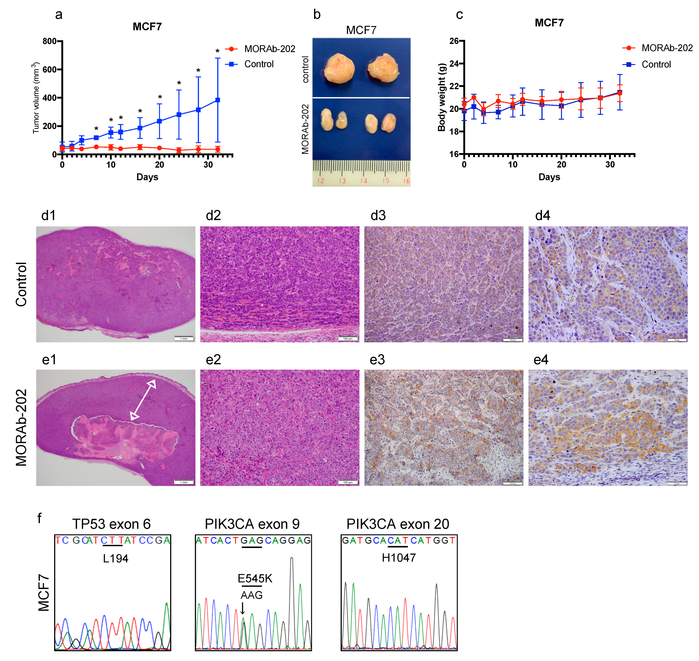 Antibodies 10 00006 g007 Antibodies 10 00006 g007