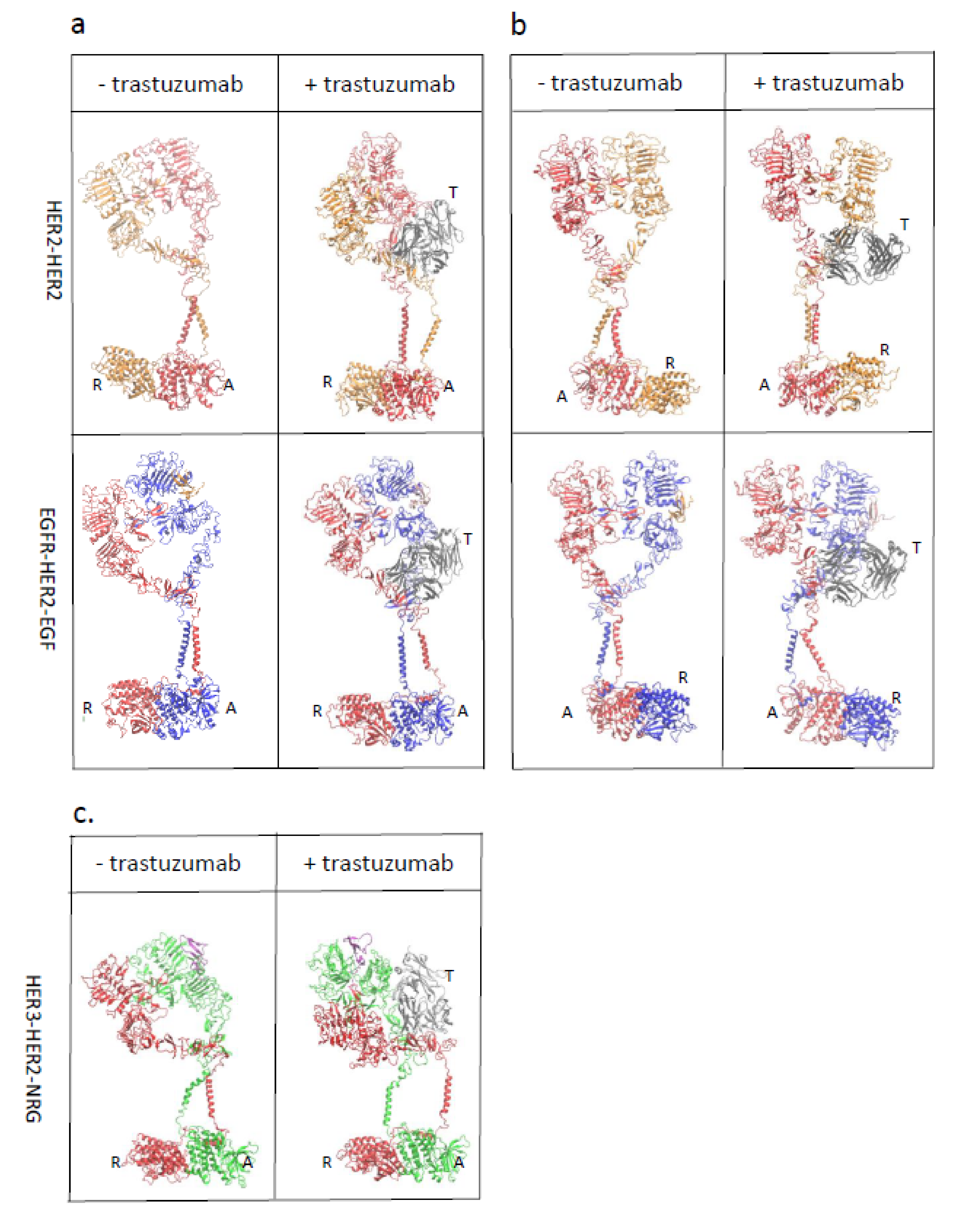 Antibodies 10 00007 g001