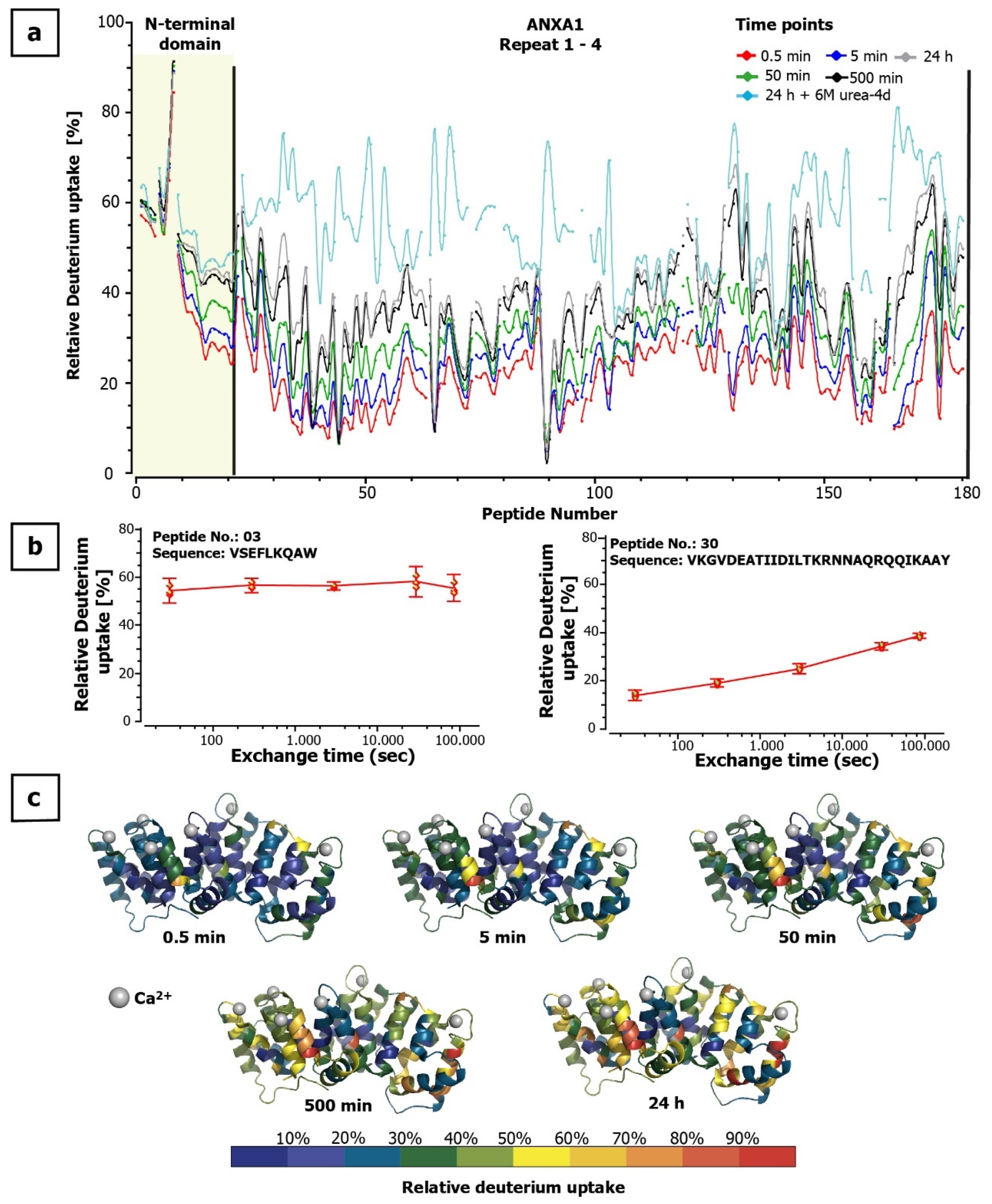 Antibodies 10 00011 g002