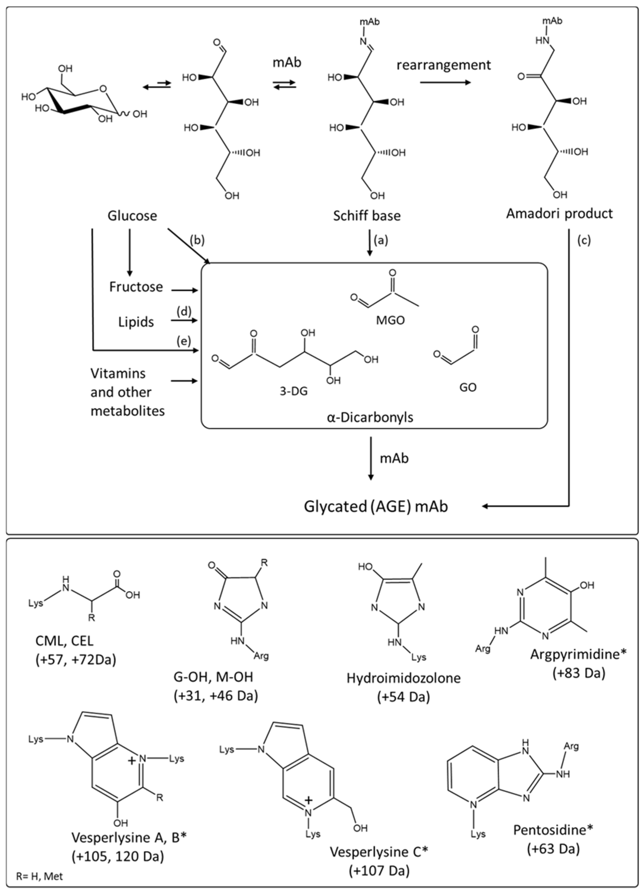 Antibodies 10 00021 g005