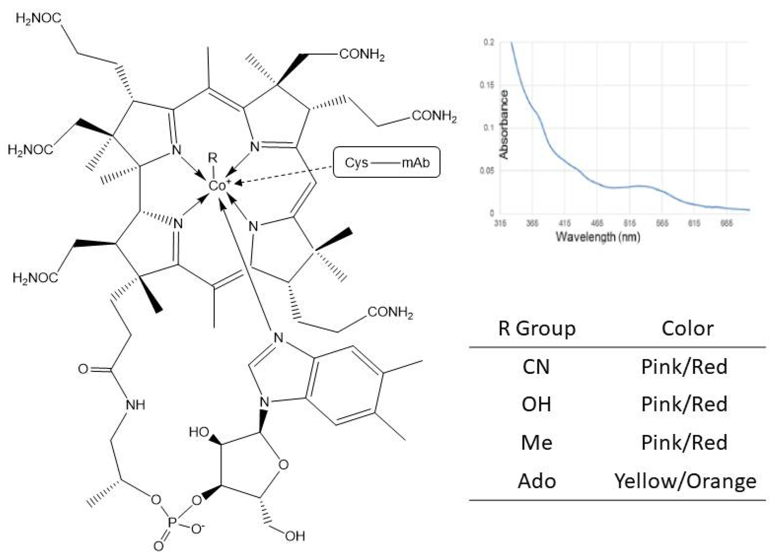 Antibodies 10 00021 g006