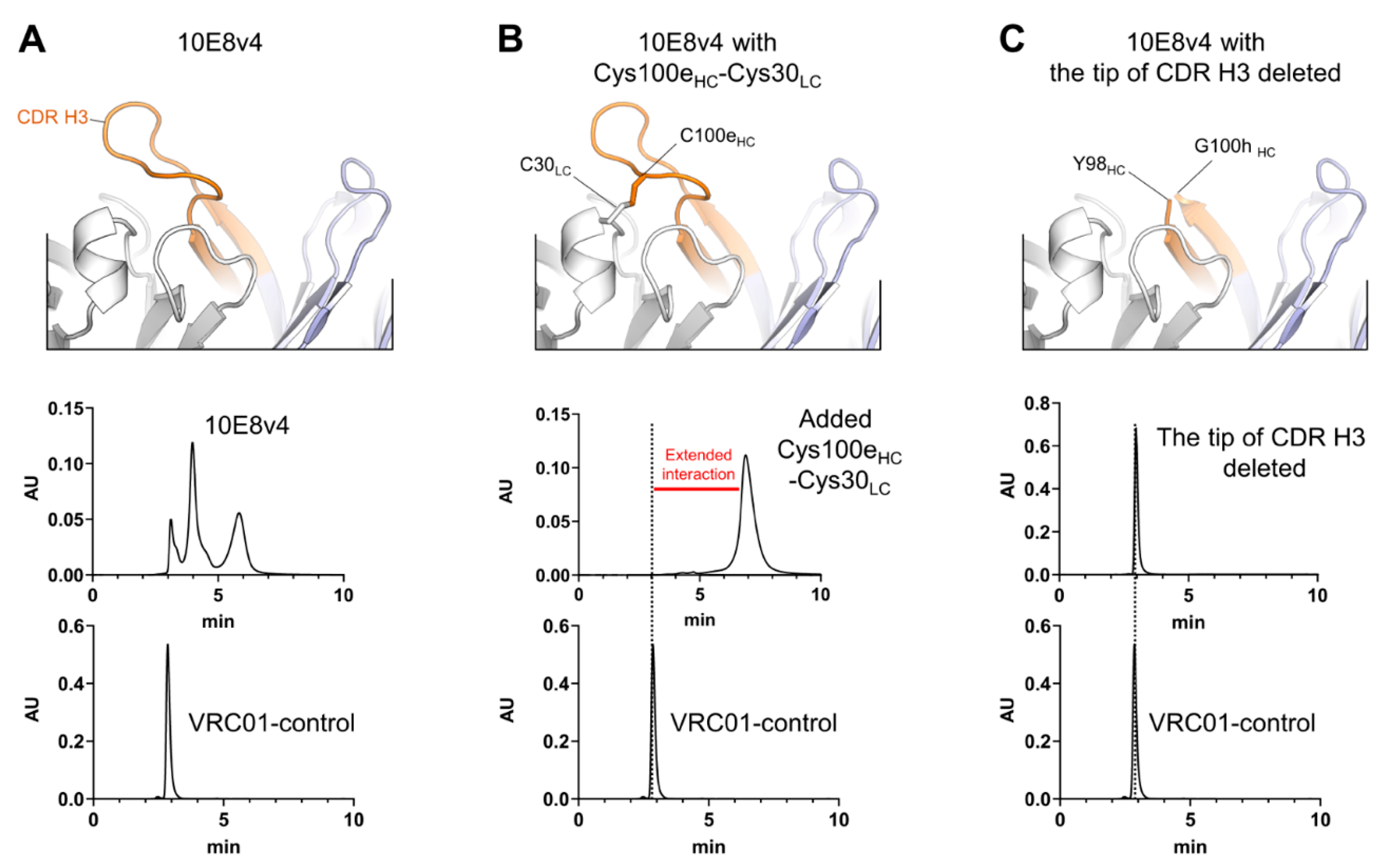 Antibodies 10 00023 g001