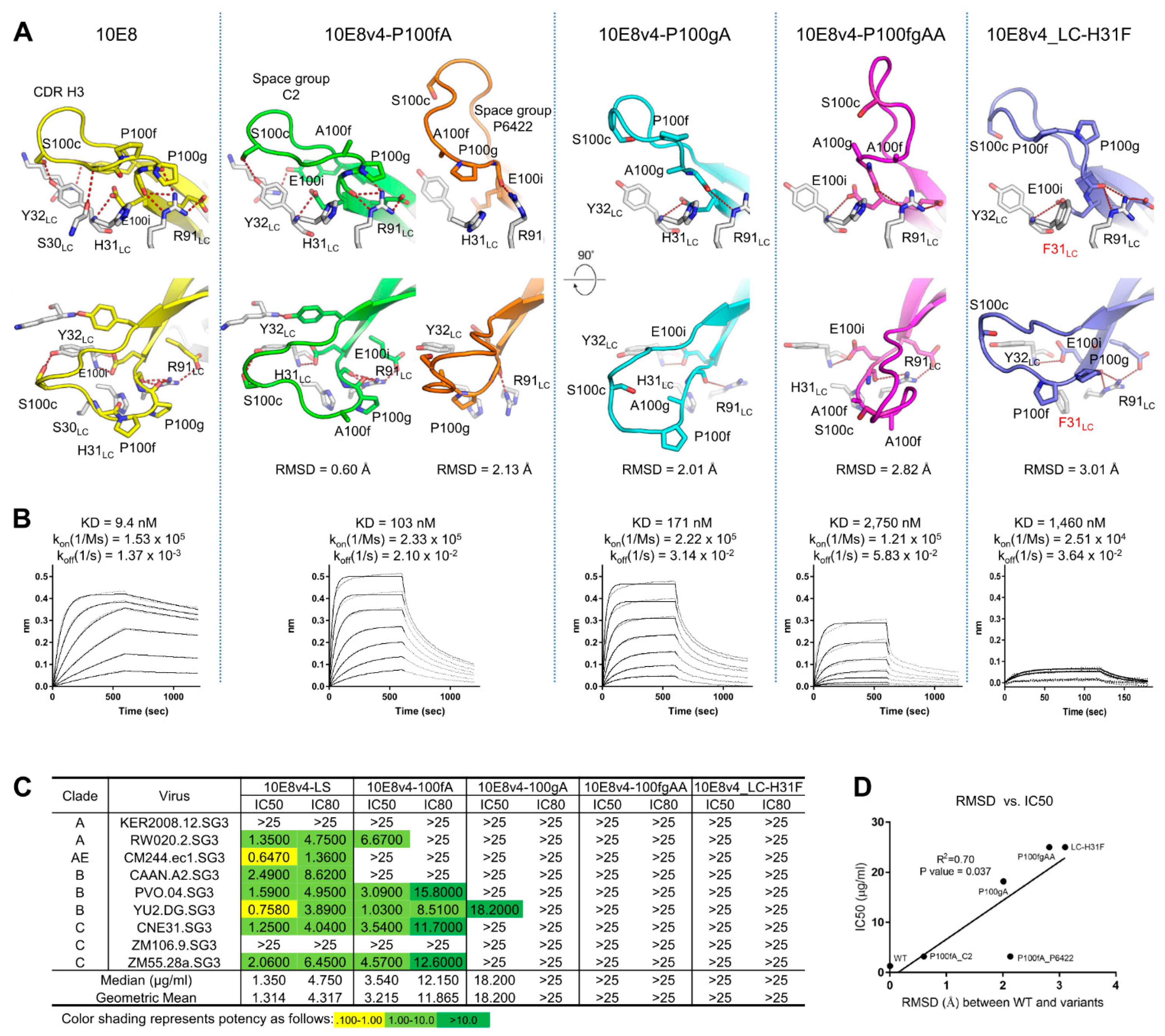 Antibodies 10 00023 g005