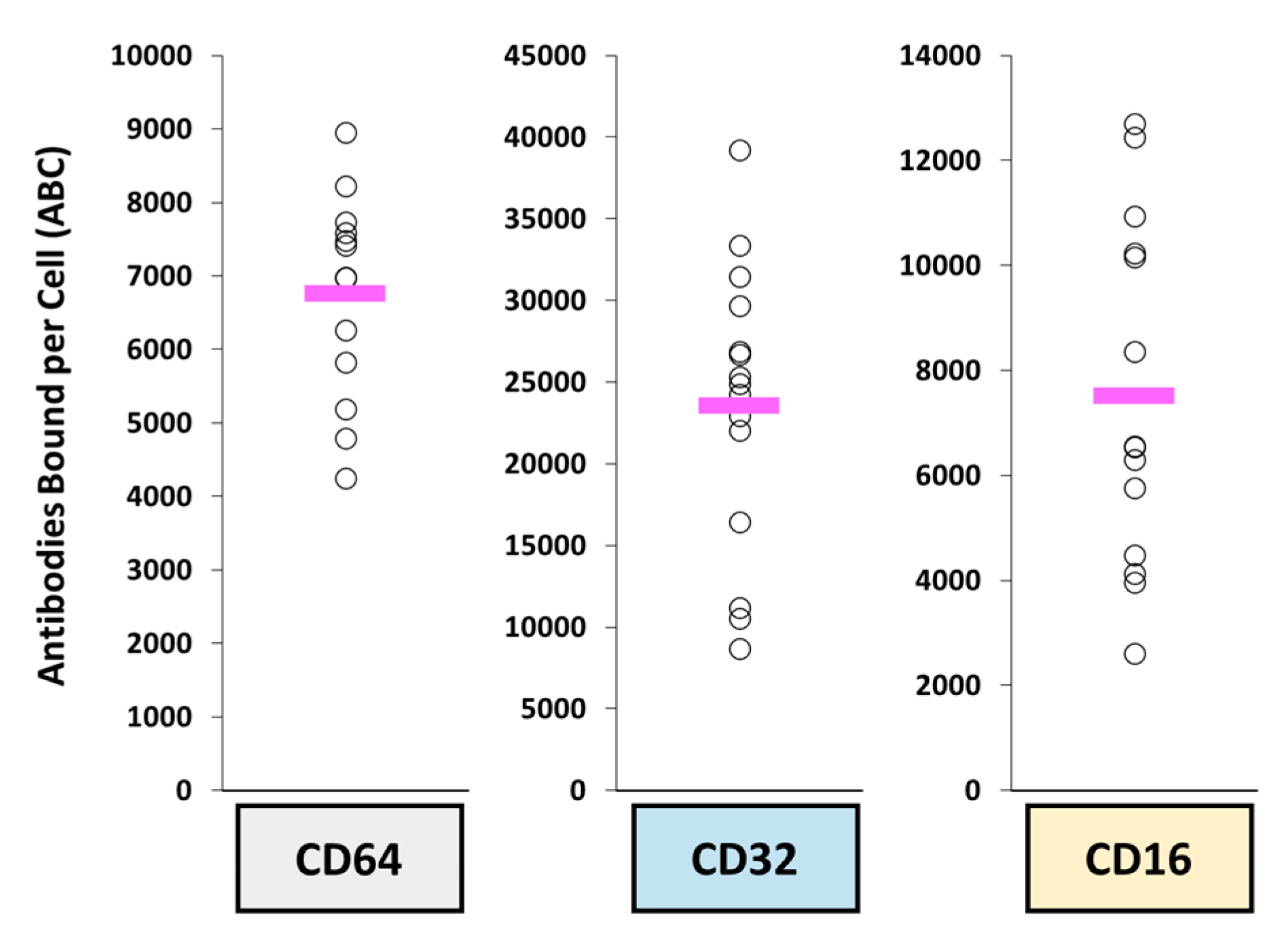 Antibodies 10 00030 g004 Antibodies 10 00030 g004