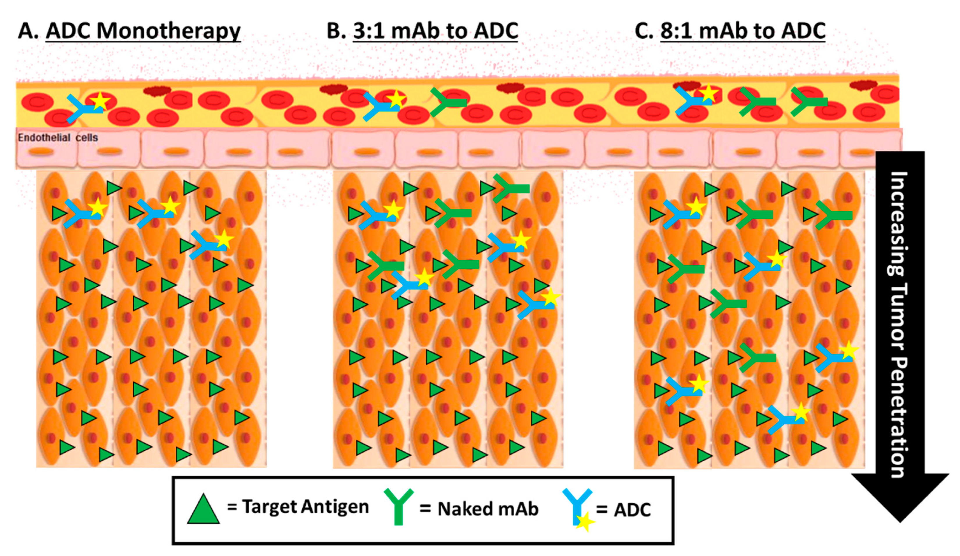 Antibodies 10 00030 g006 Antibodies 10 00030 g006