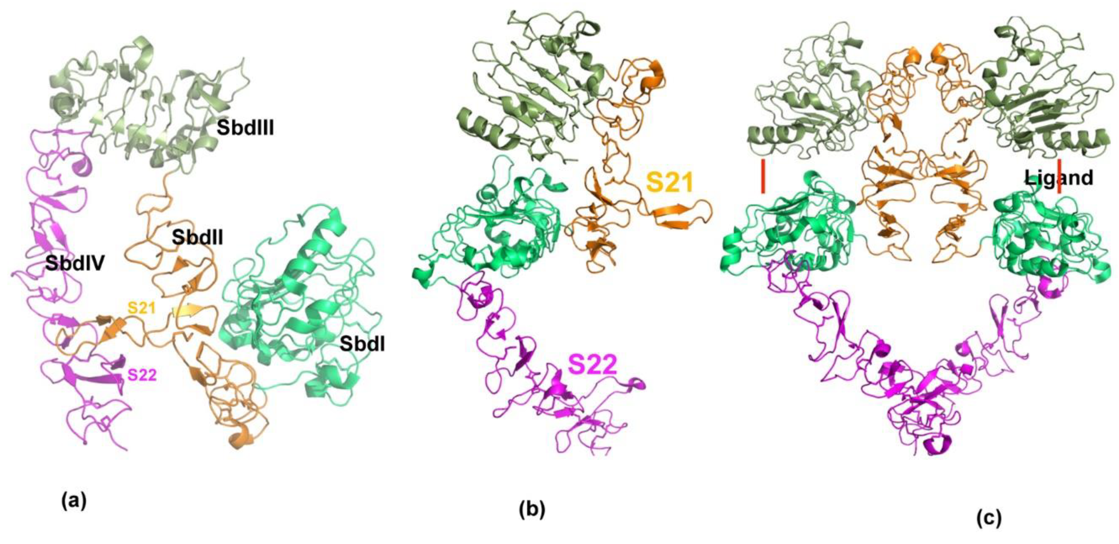 Antibodies 10 00032 g002