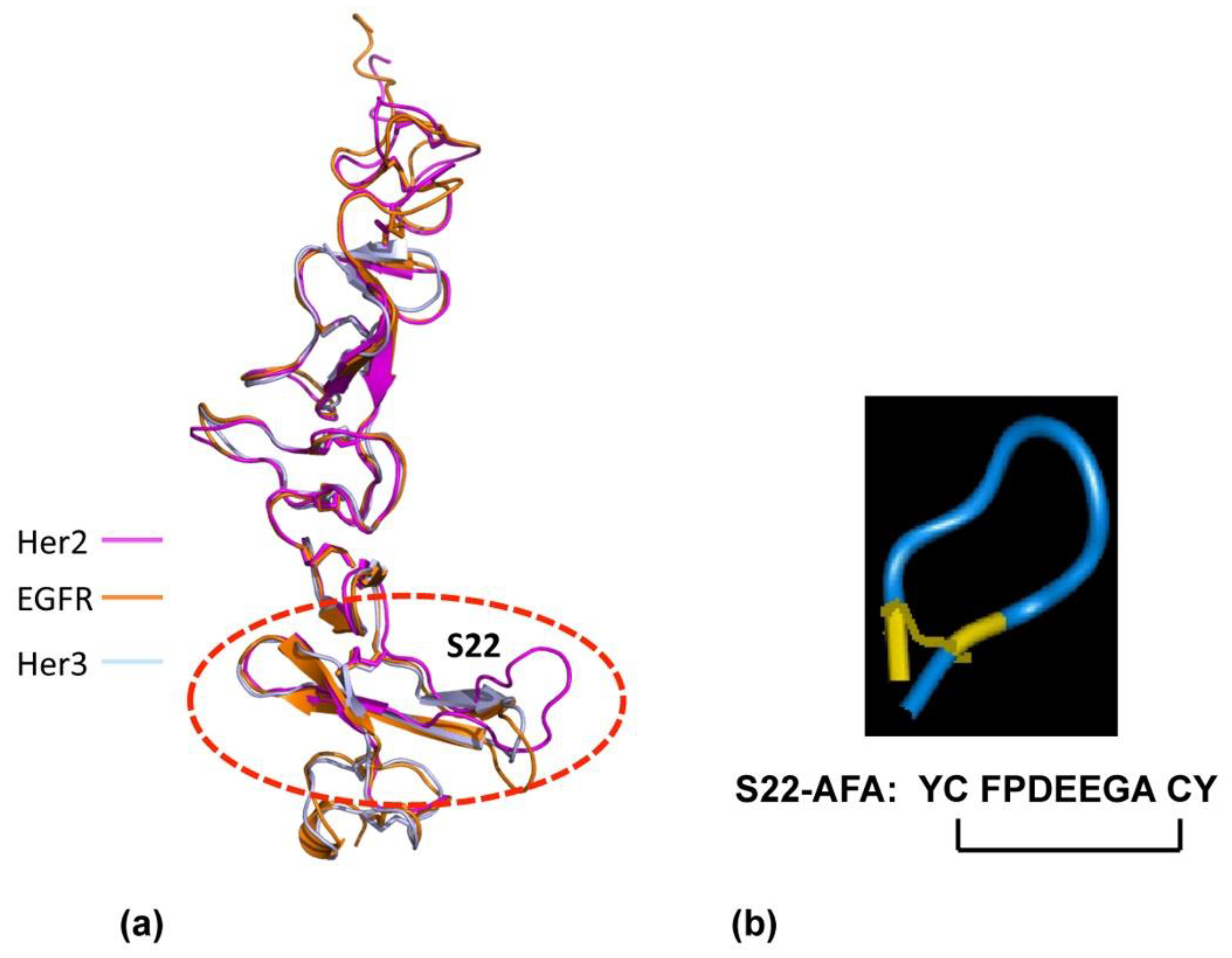 Antibodies 10 00032 g003