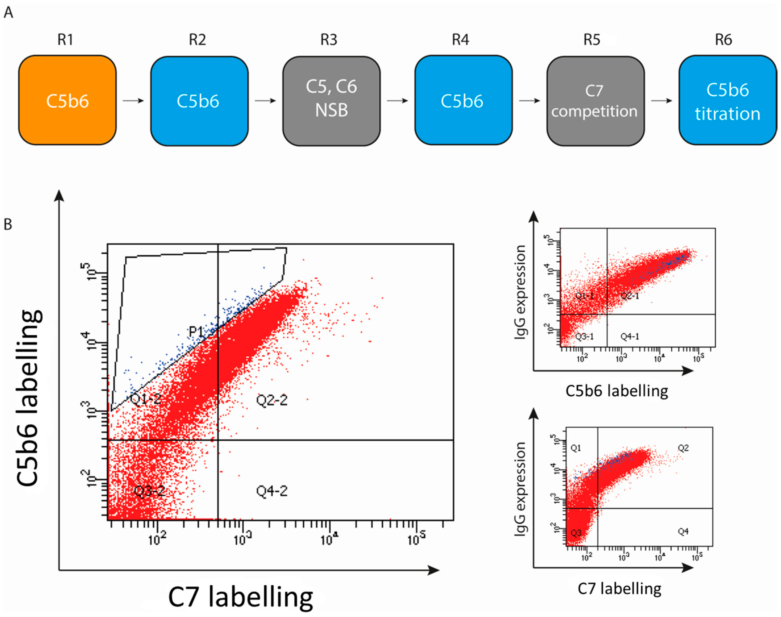 Antibodies 10 00039 g002