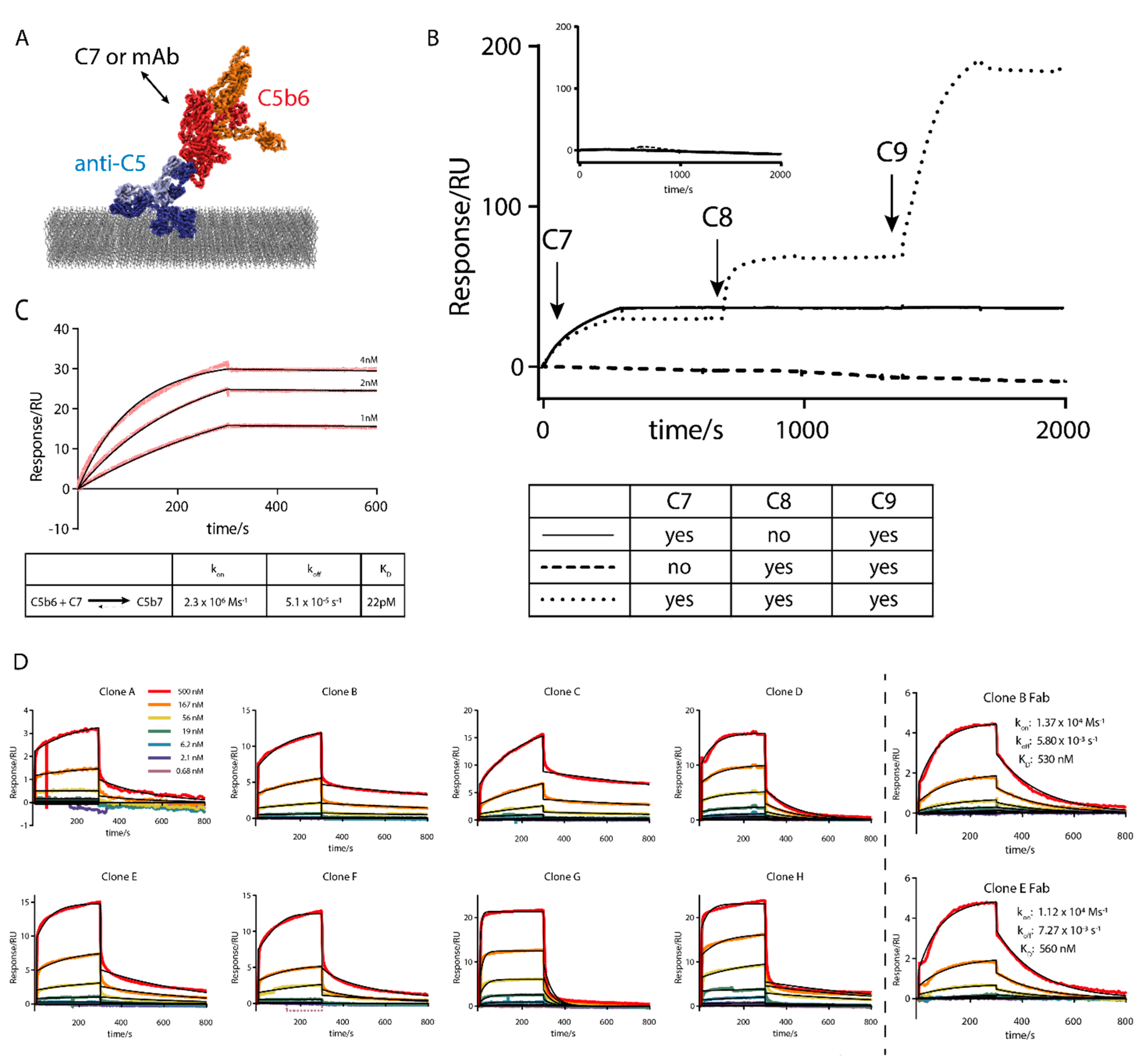 Antibodies 10 00039 g004