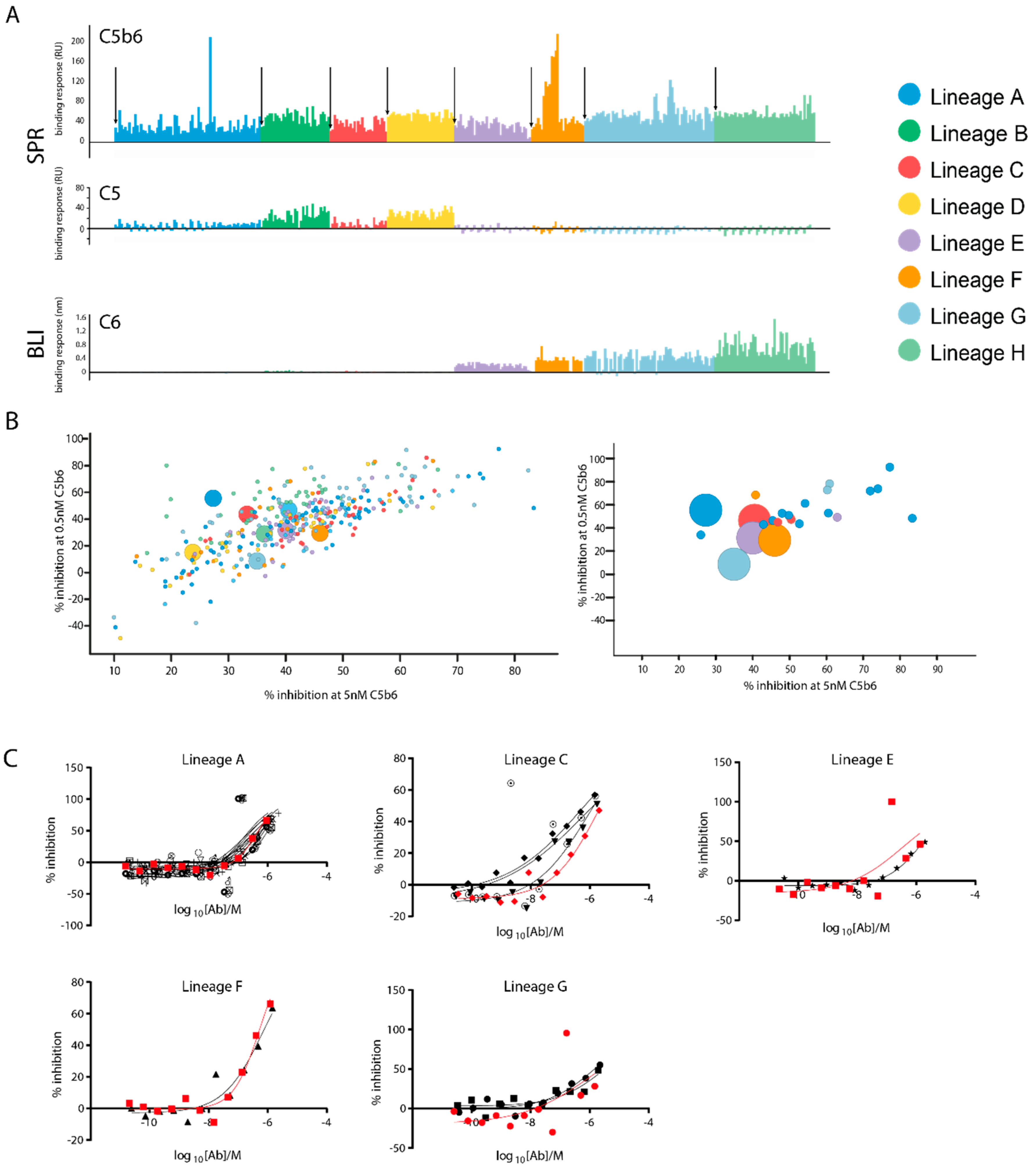 Antibodies 10 00039 g006