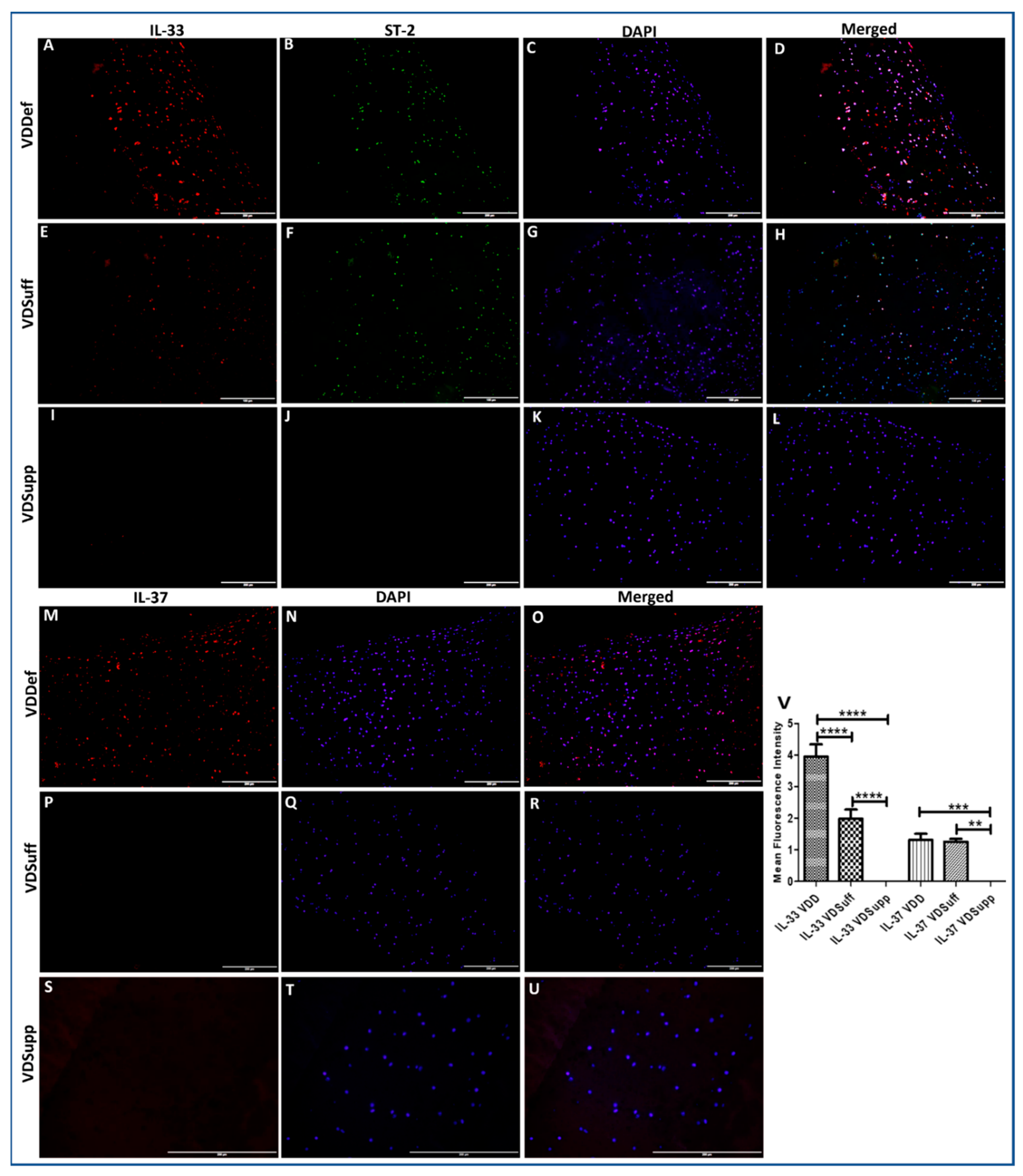 Antibodies 10 00041 g001
