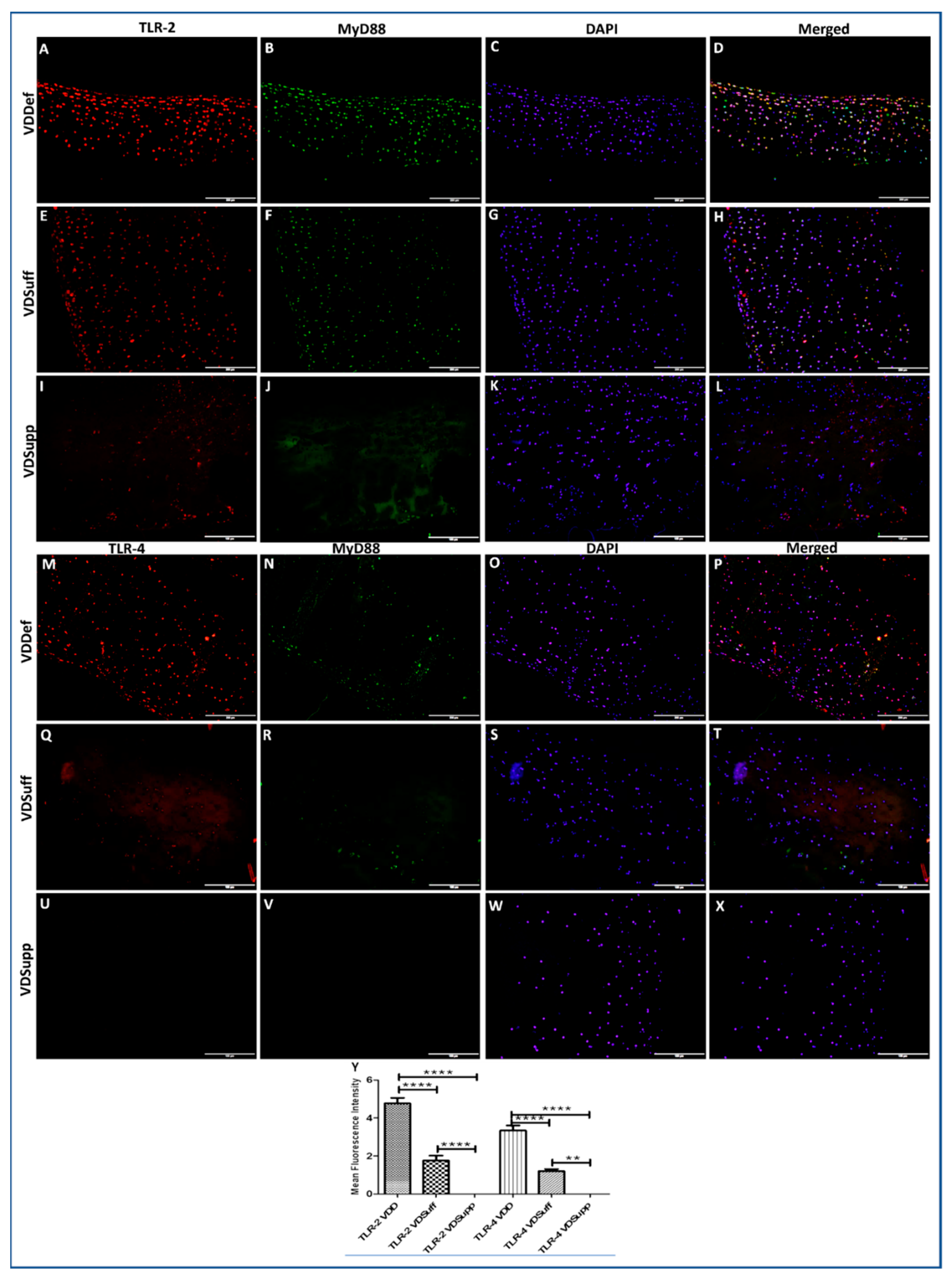 Antibodies 10 00041 g002