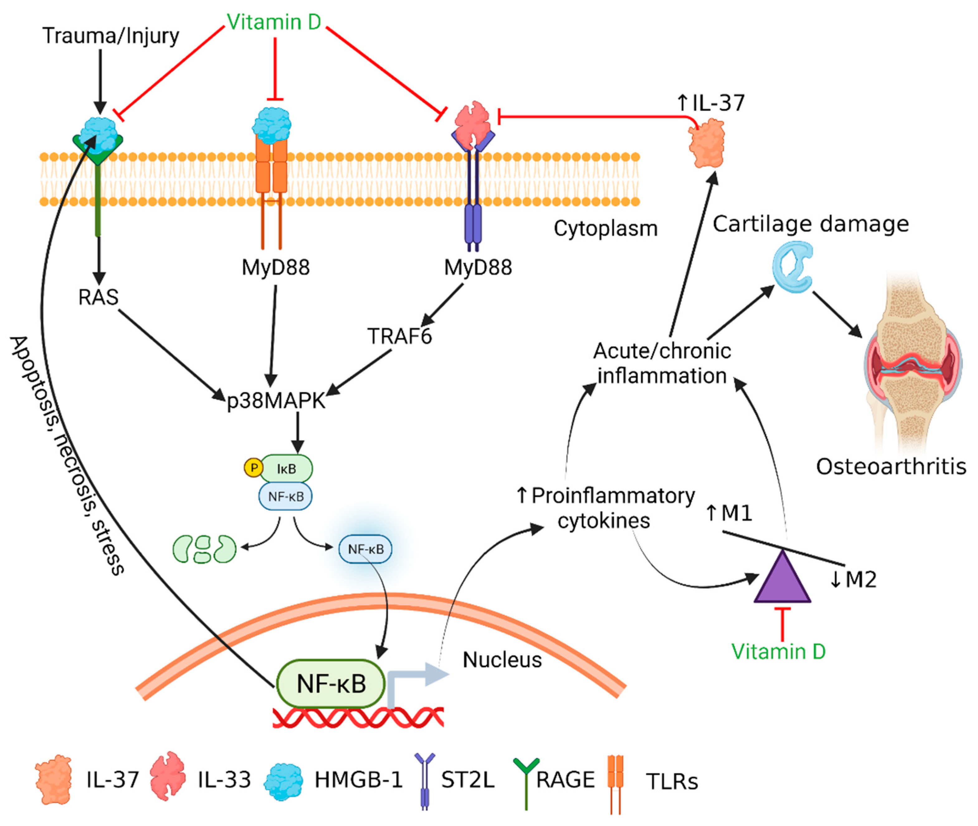Antibodies 10 00041 g006