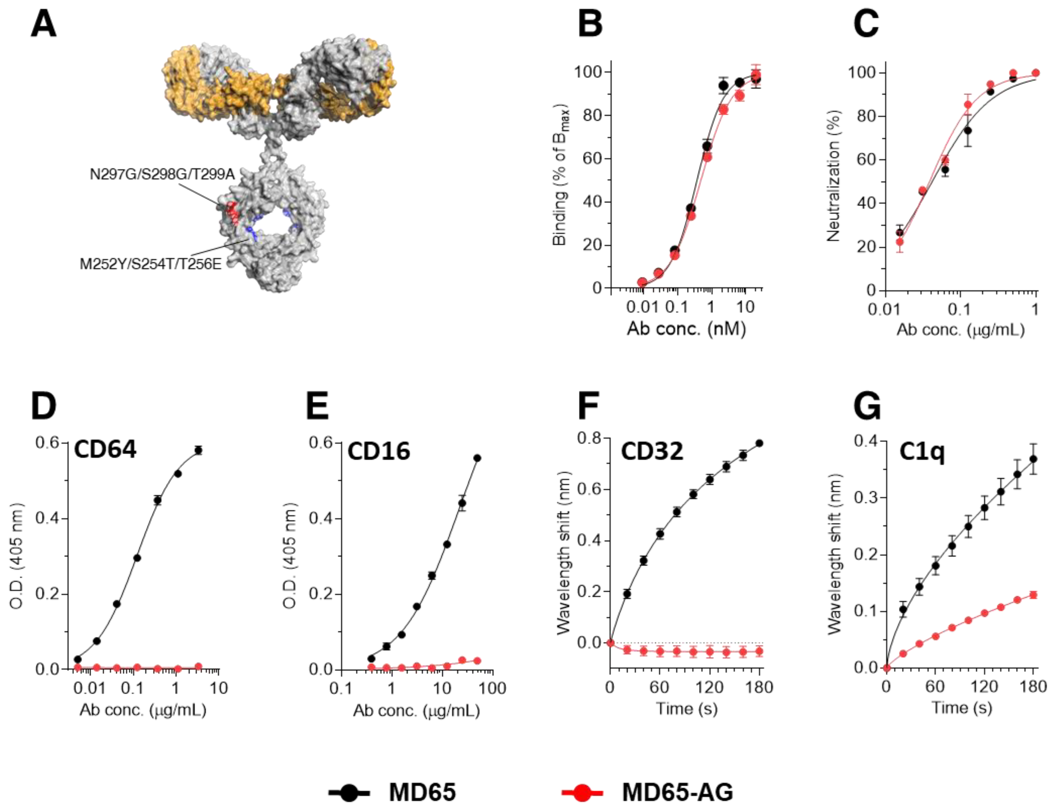 Antibodies 10 00045 g001